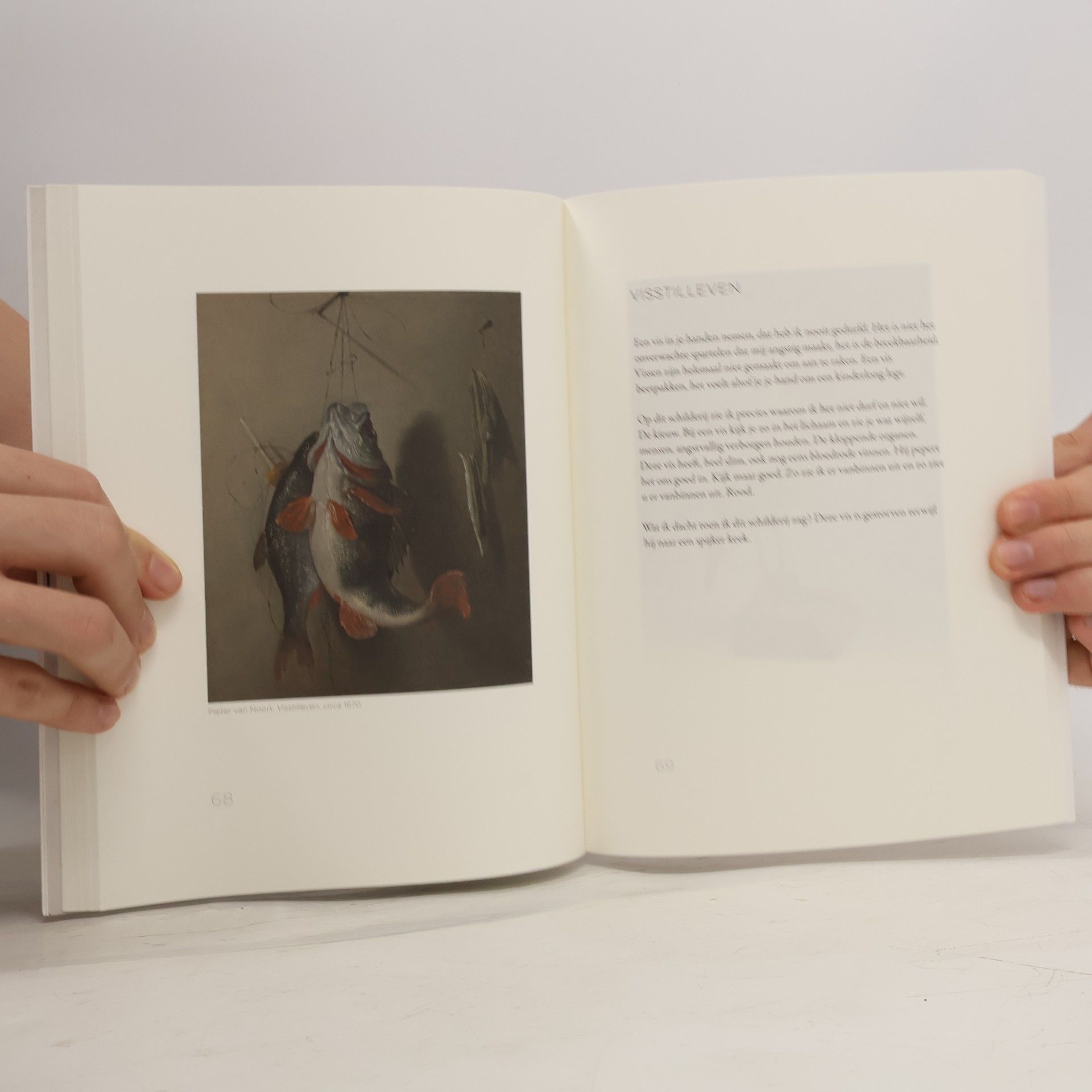 Nico Dijkshoorn Dijkshoorn kijkt kunst