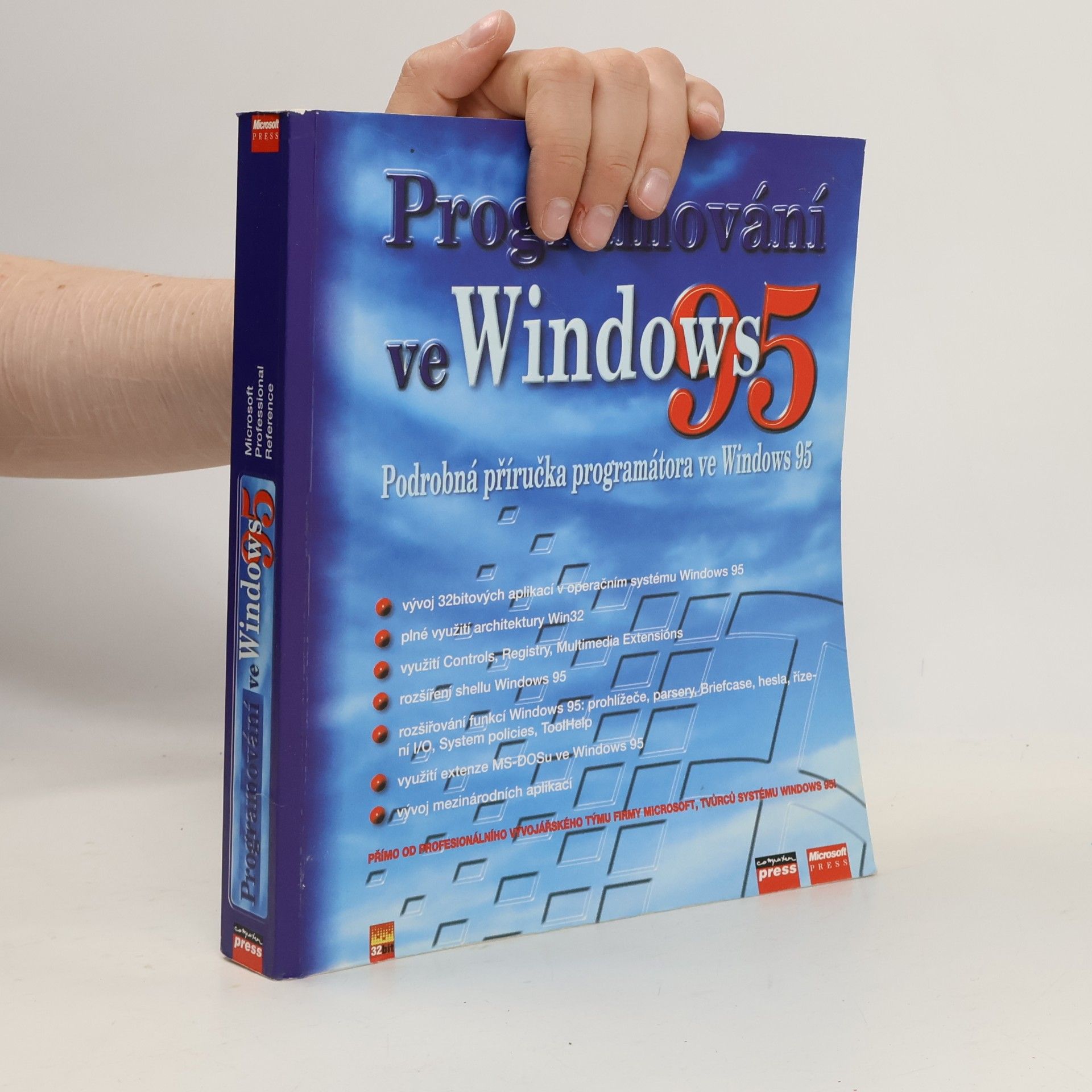 Collectif d'auteurs Programování ve Windows 95