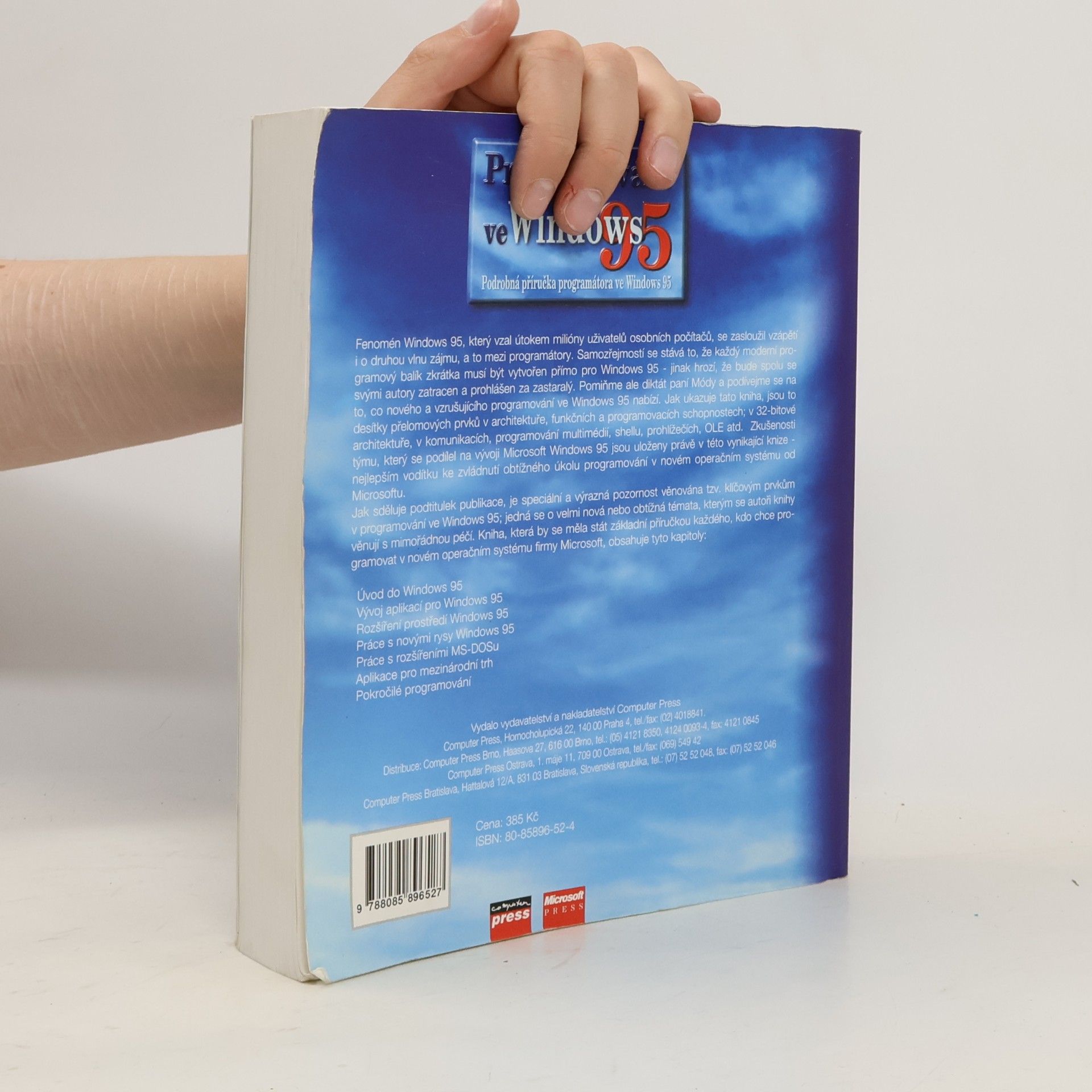 Autorenkollektiv Programování ve Windows 95