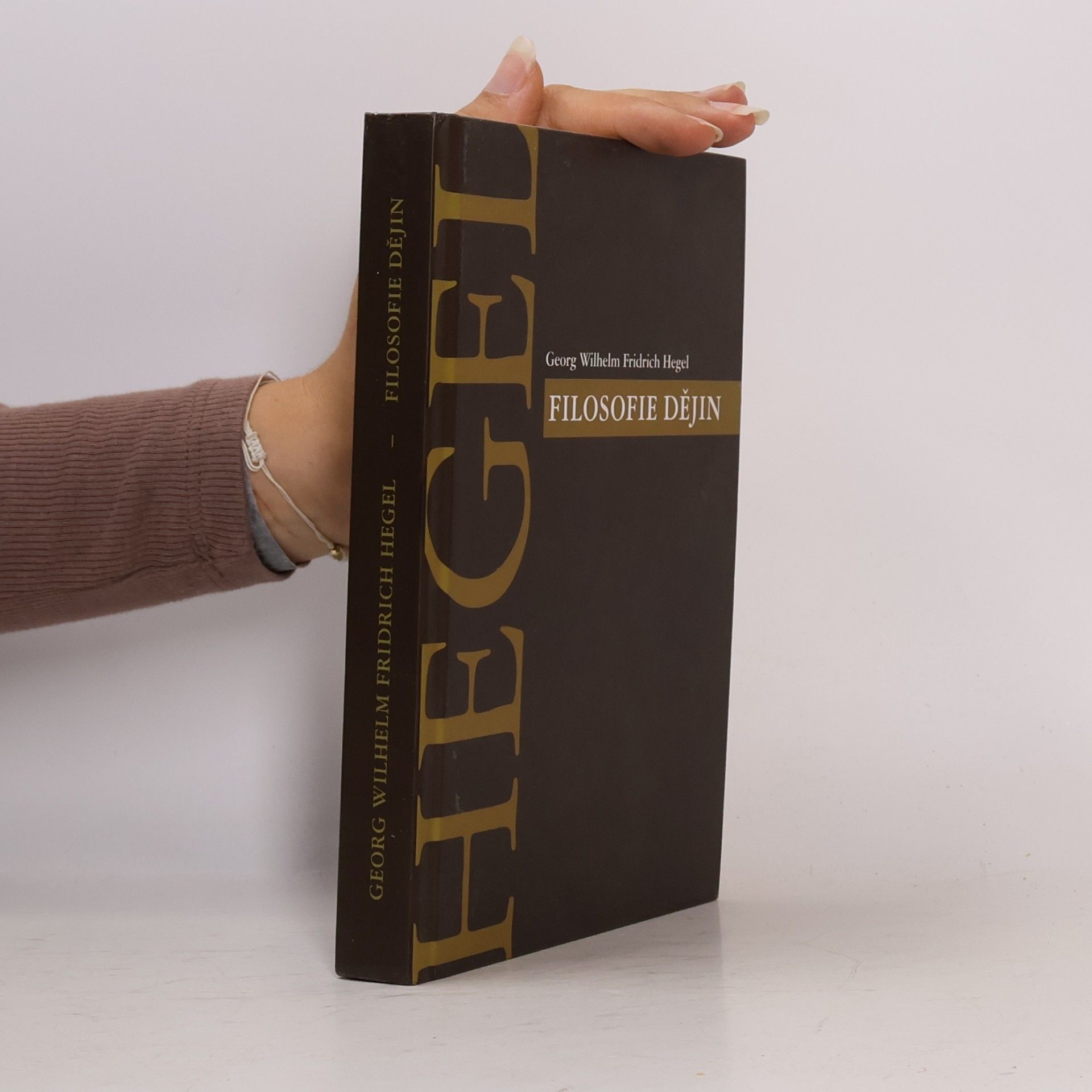 Georg Wilhelm Friedrich Hegel Filosofie dějin