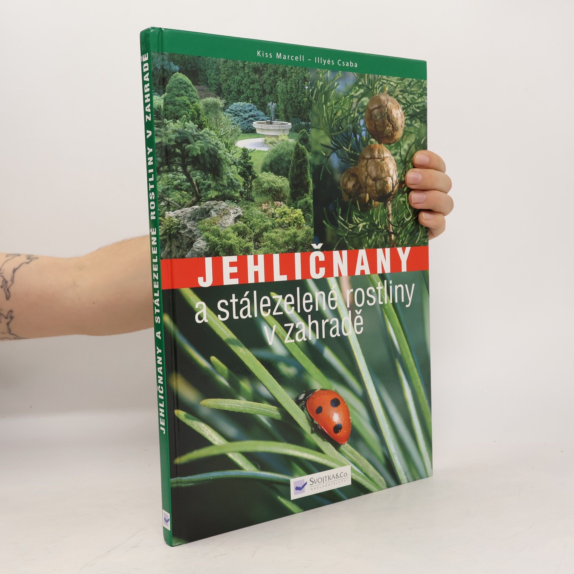 Marcell Kiss Jehličnany a stálezelené rostliny v zahradě