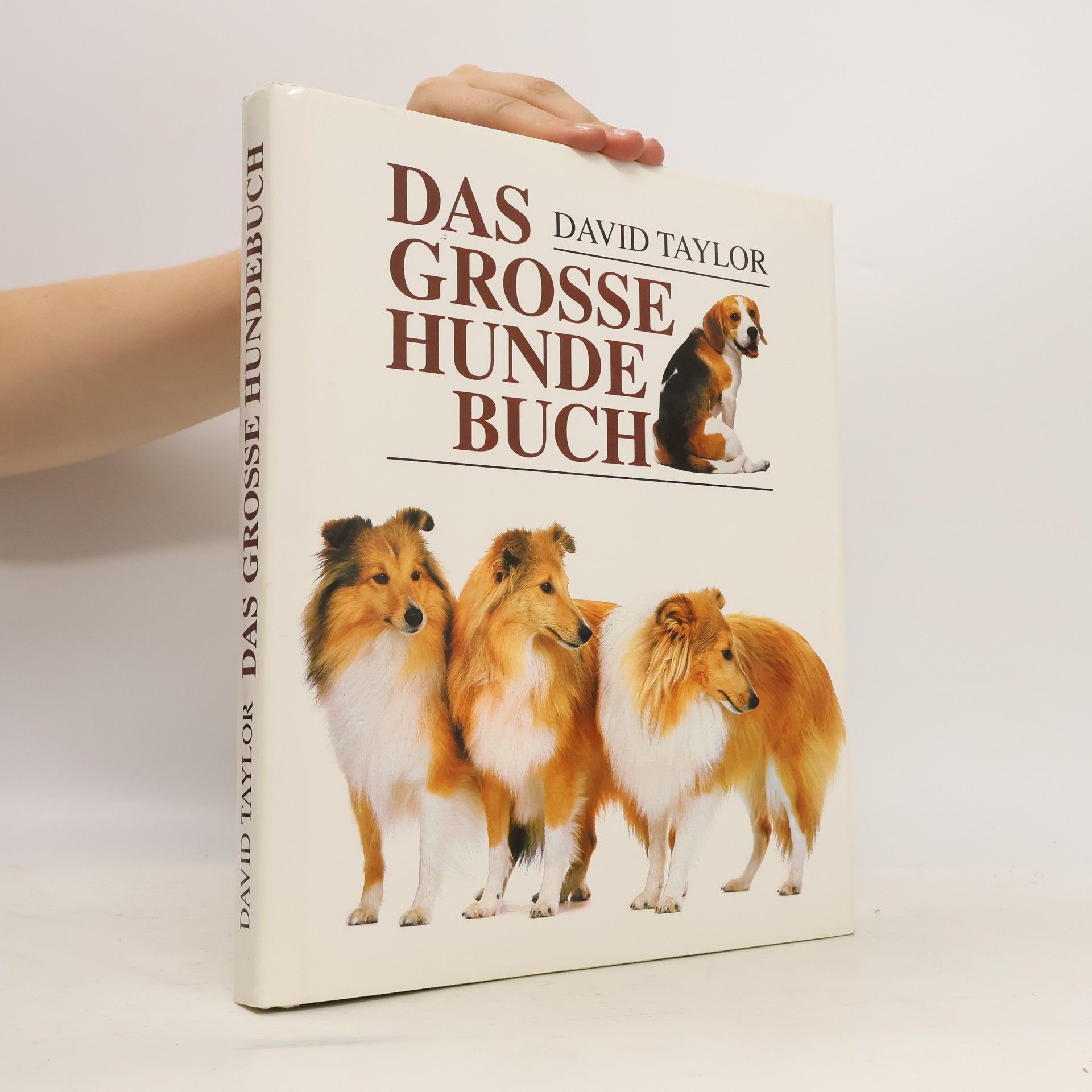 David Conrad Taylor Das grosse Hunde Buch
