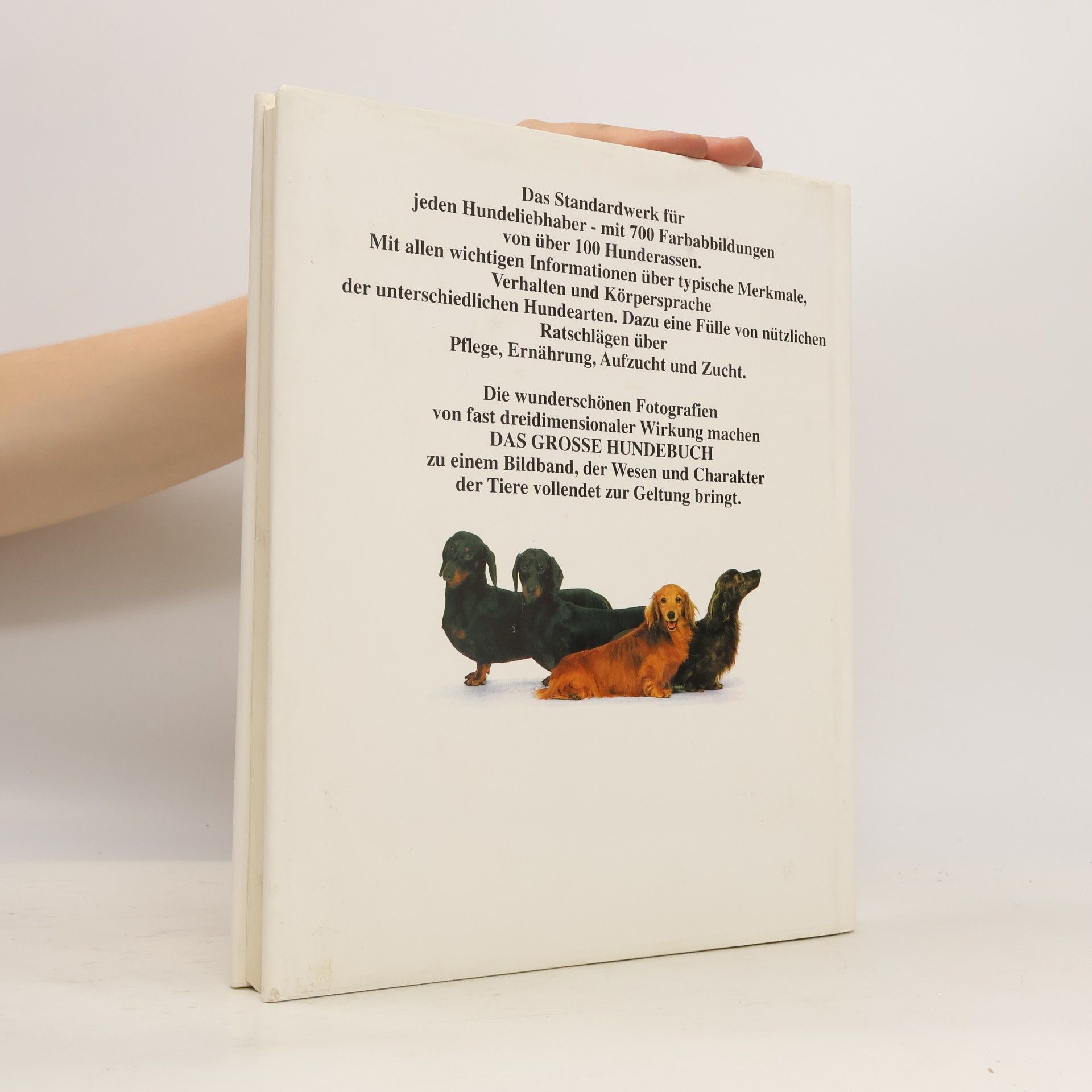 David Conrad Taylor Das grosse Hunde Buch