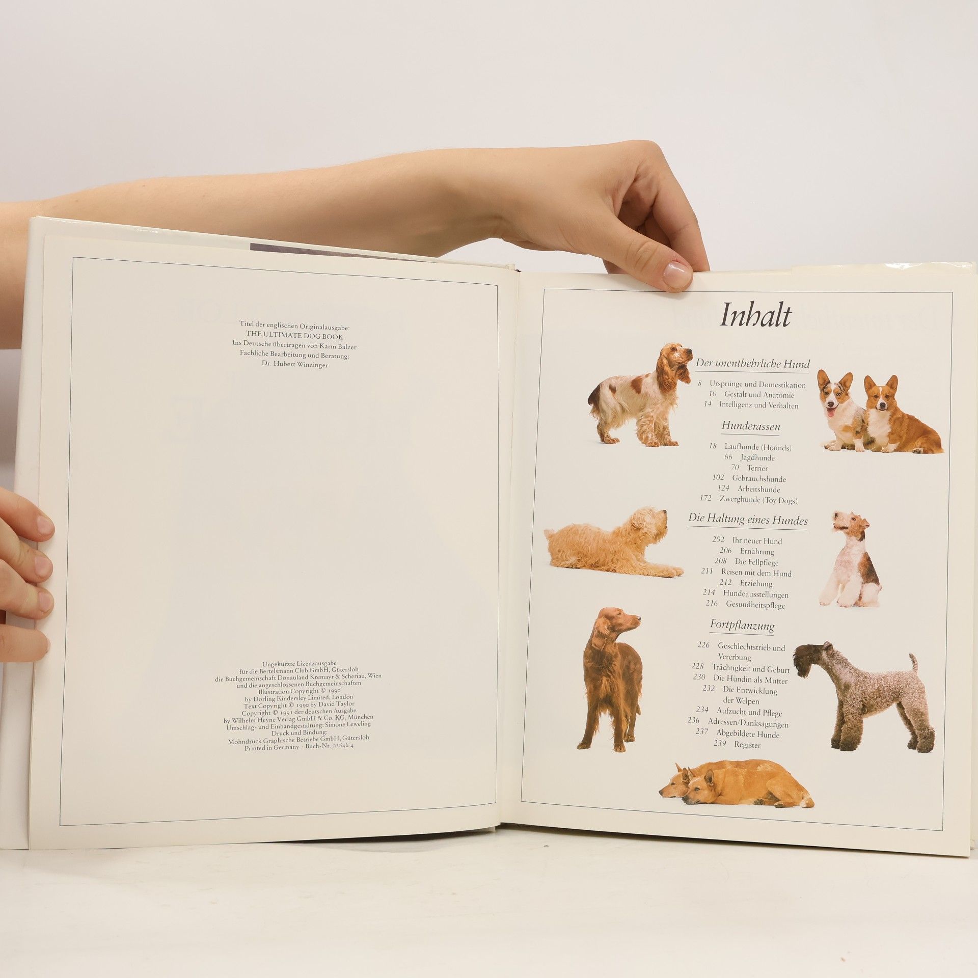 David Conrad Taylor Das grosse Hunde Buch