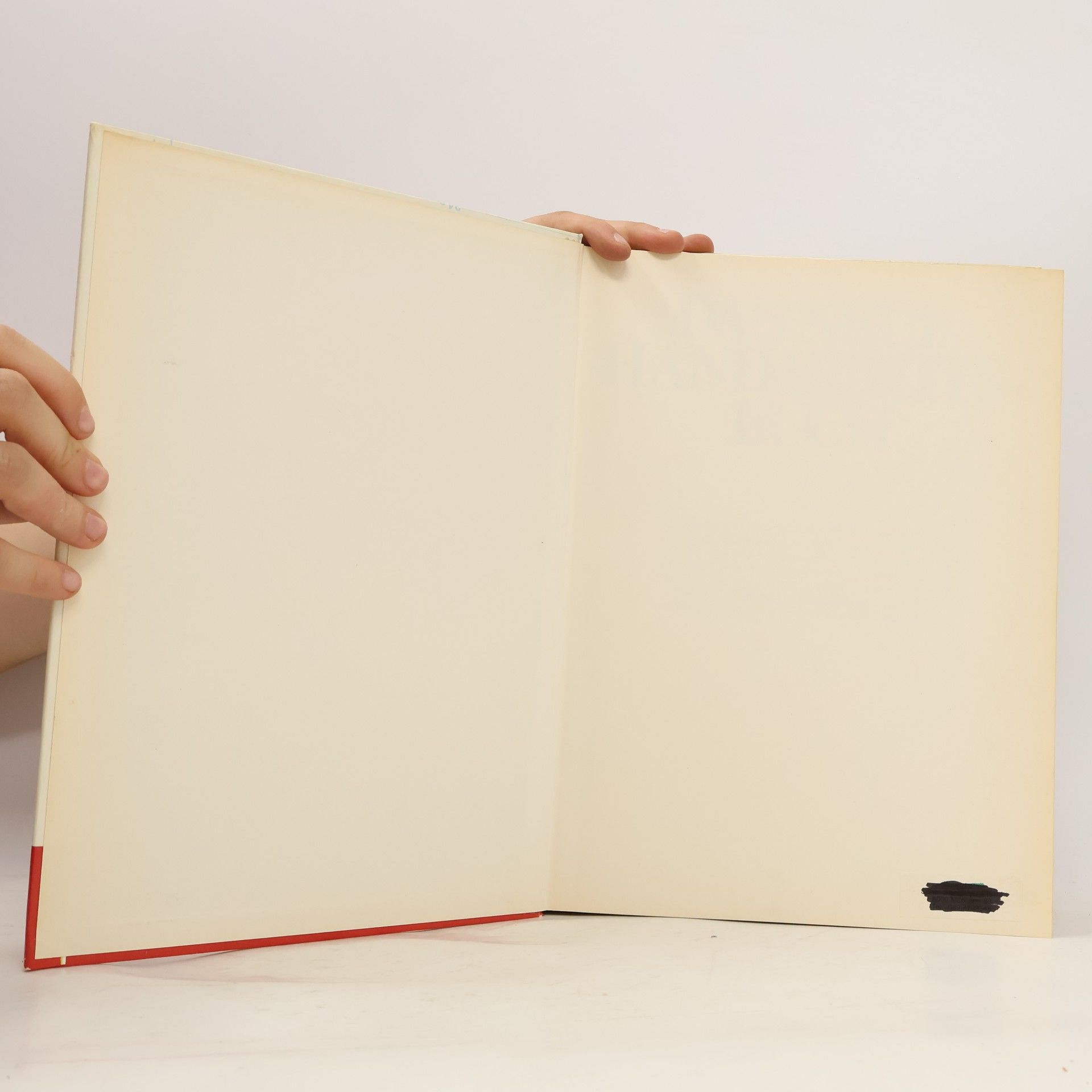 kolektiv Das neue Handarbeitsbuch