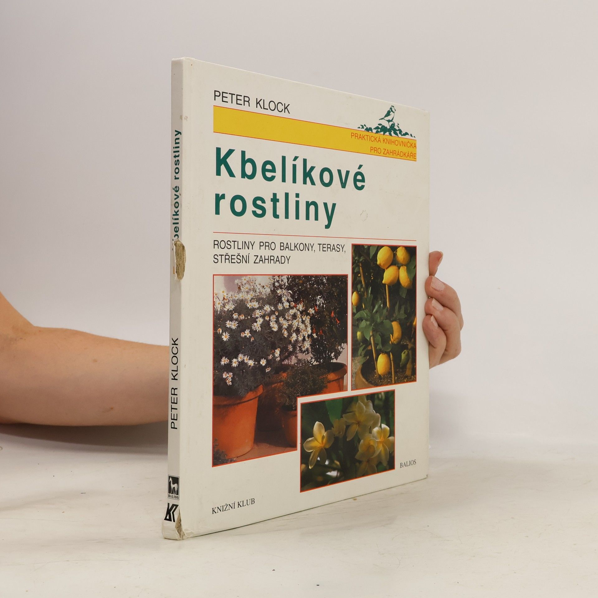 Kbelíkové rostliny. Rostliny pro balkony, terasy, střešní zahrady