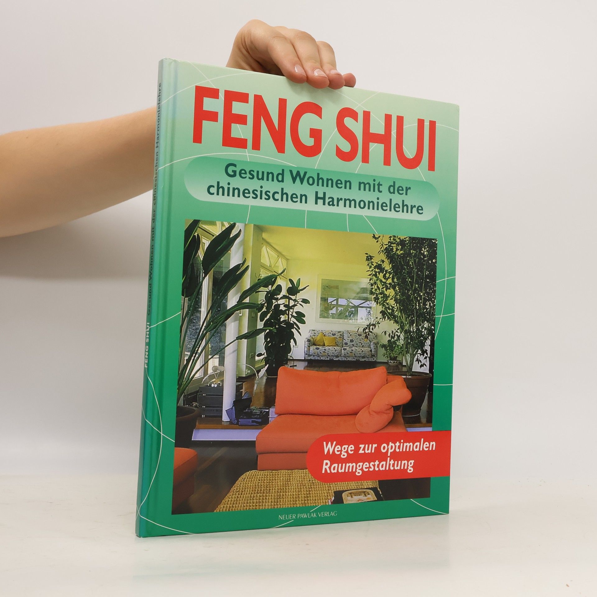 Georgia Schwarz Feng Shui