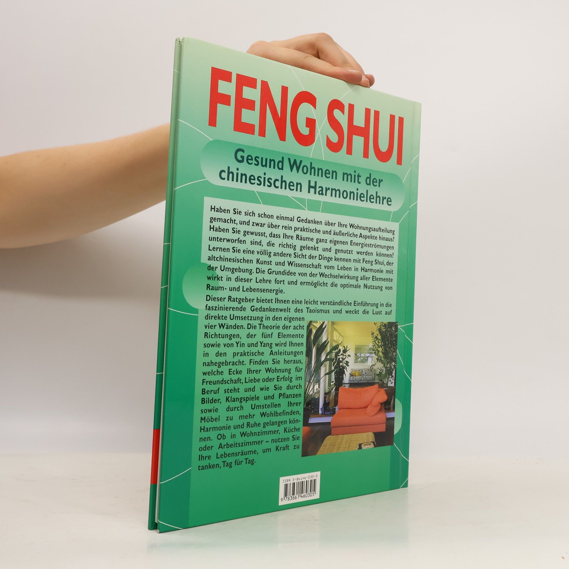 Georgia Schwarz Feng Shui