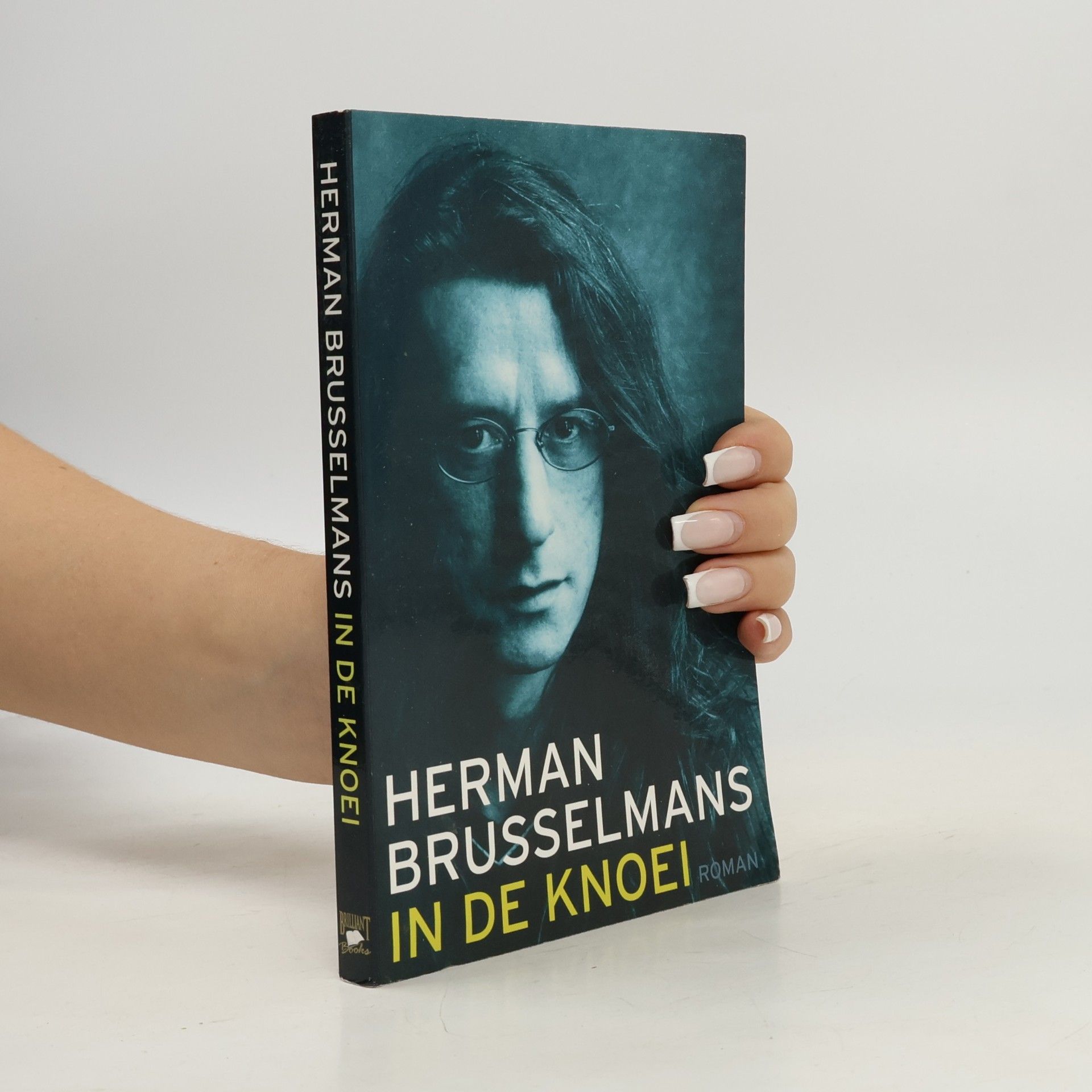 Herman Brusselmans In de knoei