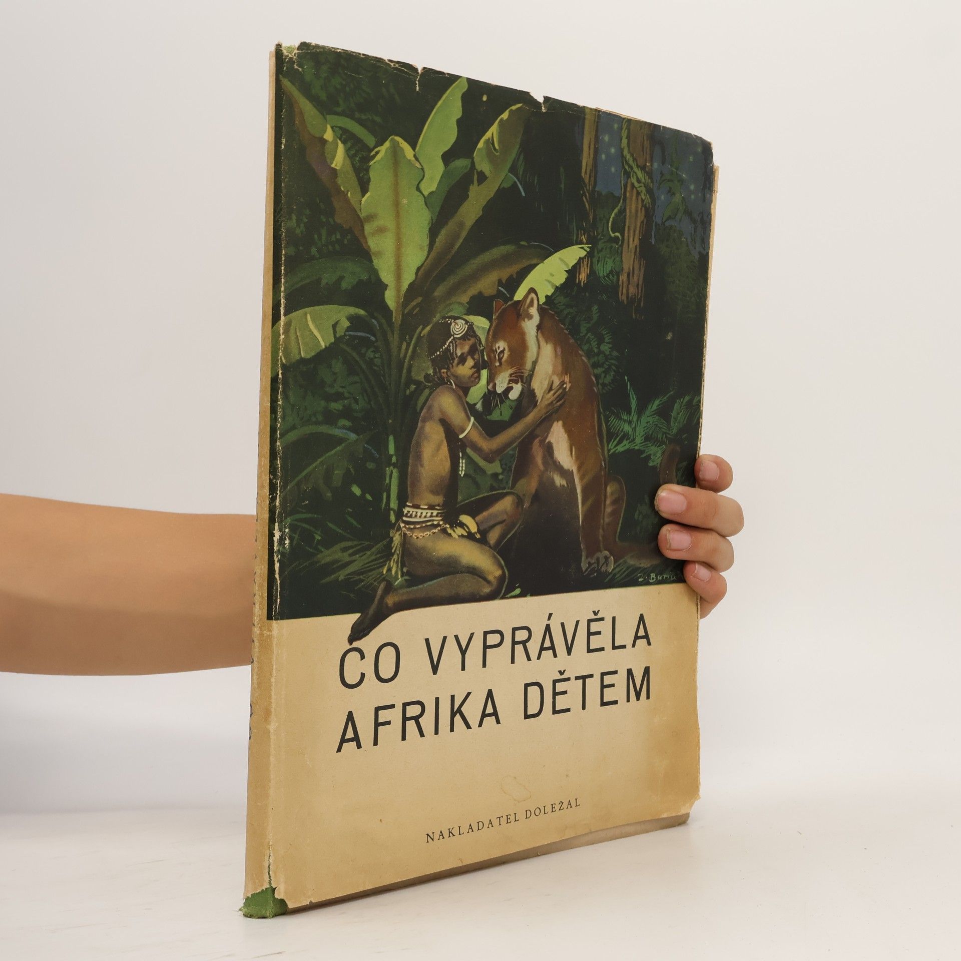 Kolektiv autorů Co vyprávěla Afrika dětem
