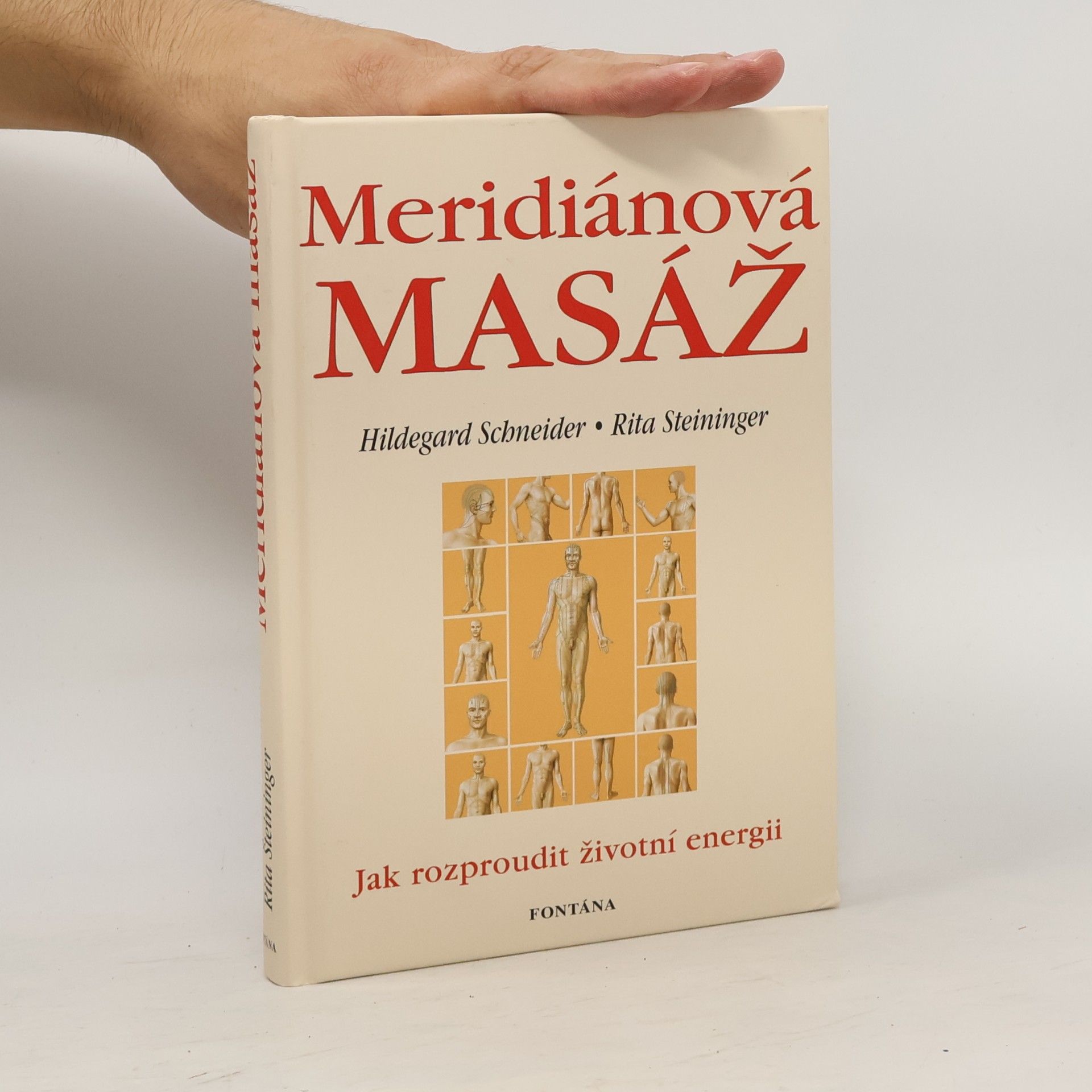 Hildegard Schneider Meridiánová masáž