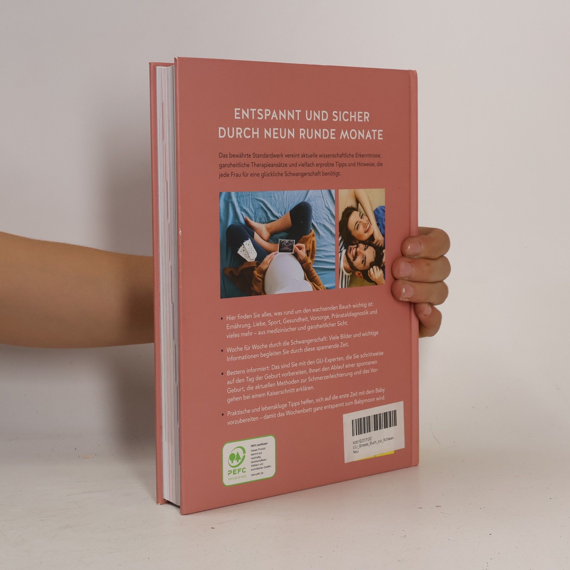 Franz Kain Das große Buch zur Schwangerschaft