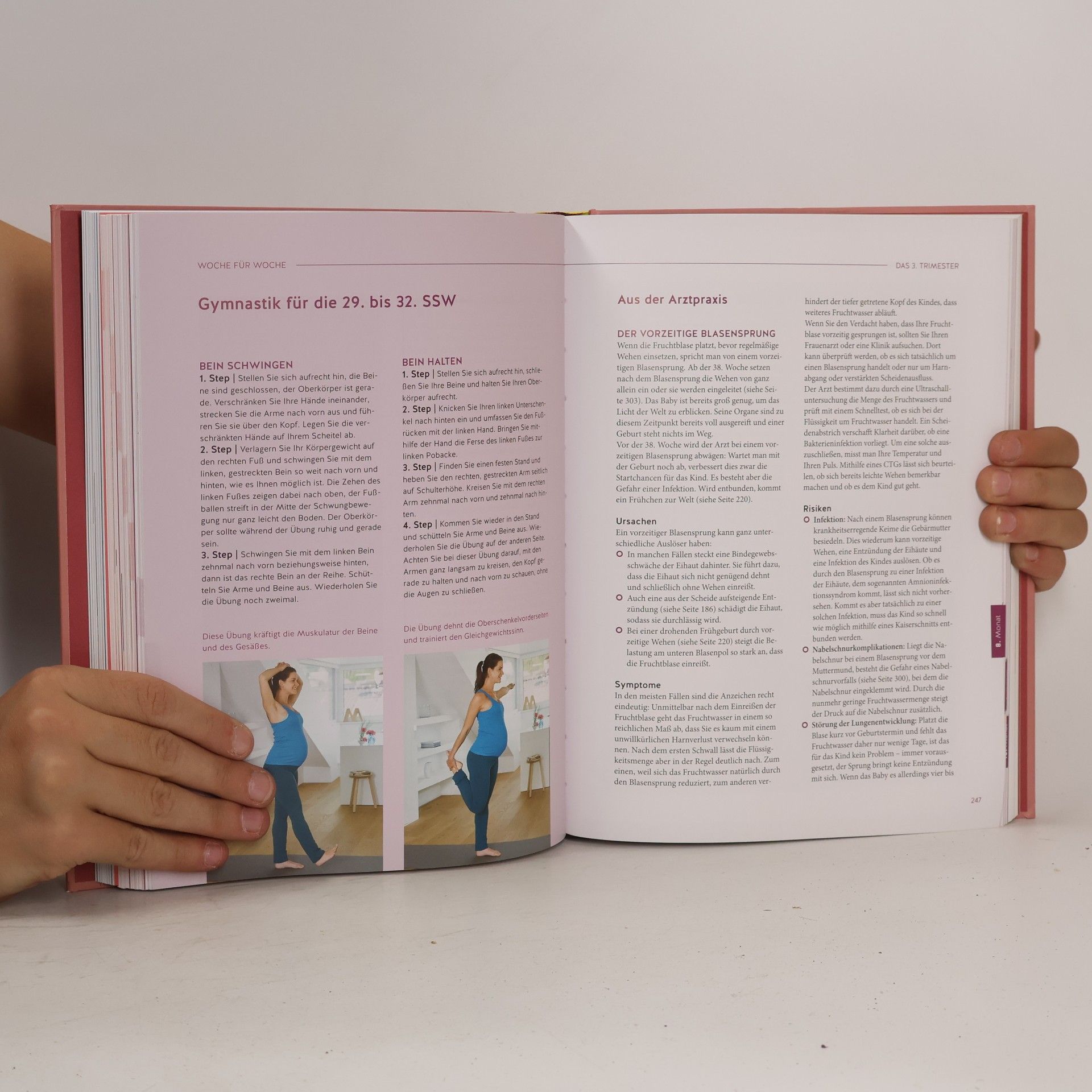Franz Kain Das große Buch zur Schwangerschaft