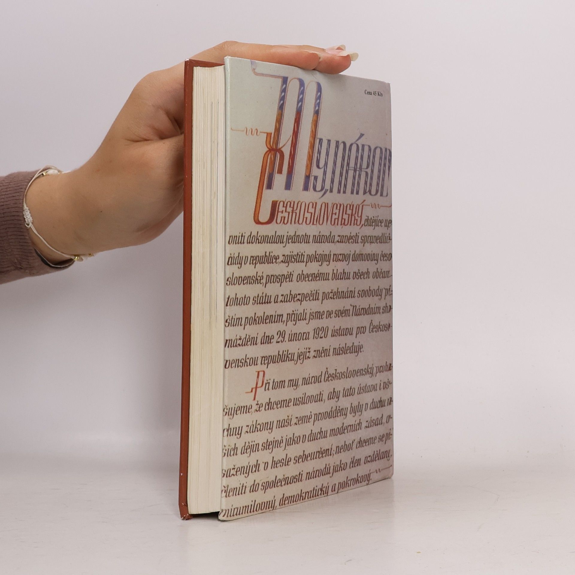 Autorenkollektiv Dějiny zemí Koruny české II.