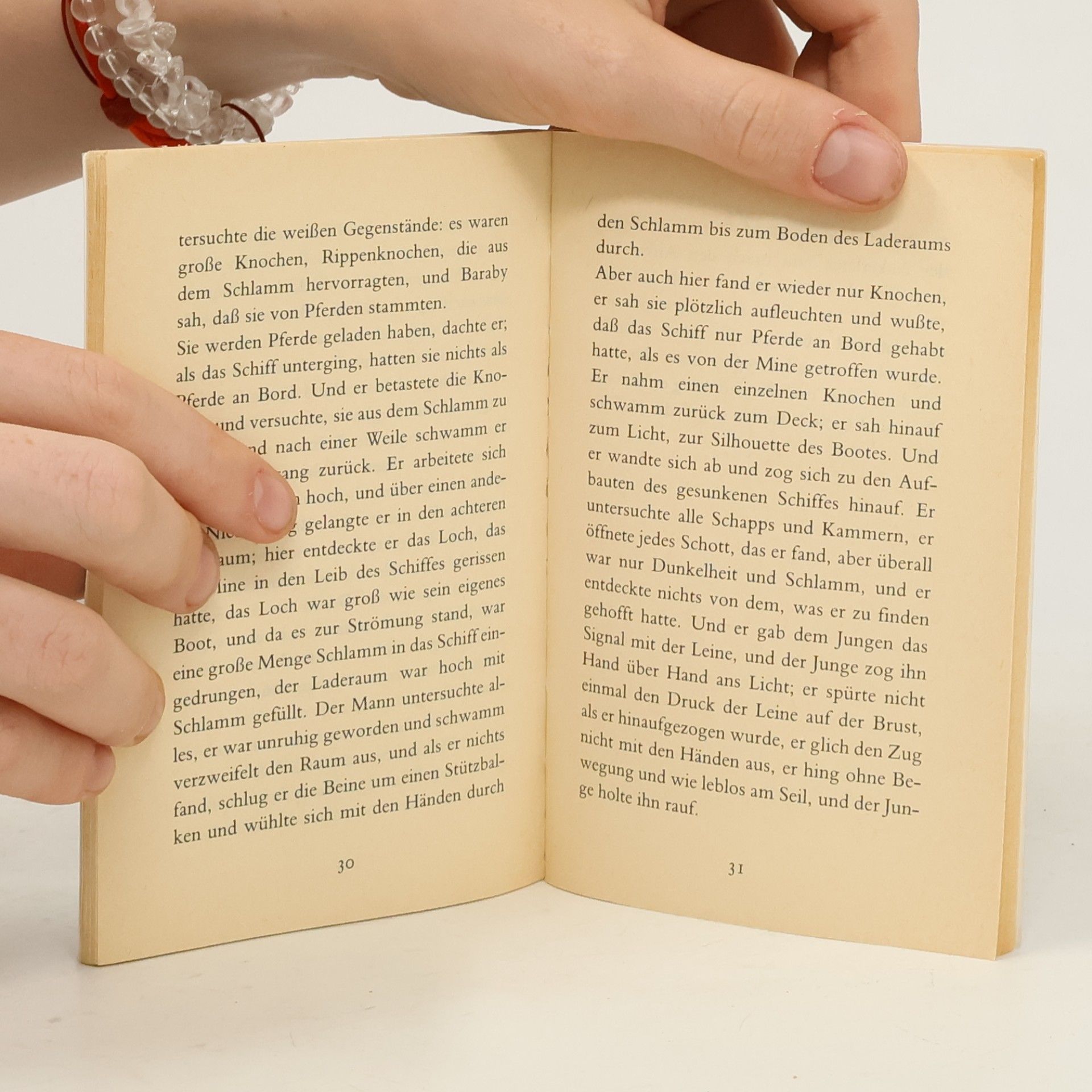 Sybil Schönfeldt Die Literaturbox 1