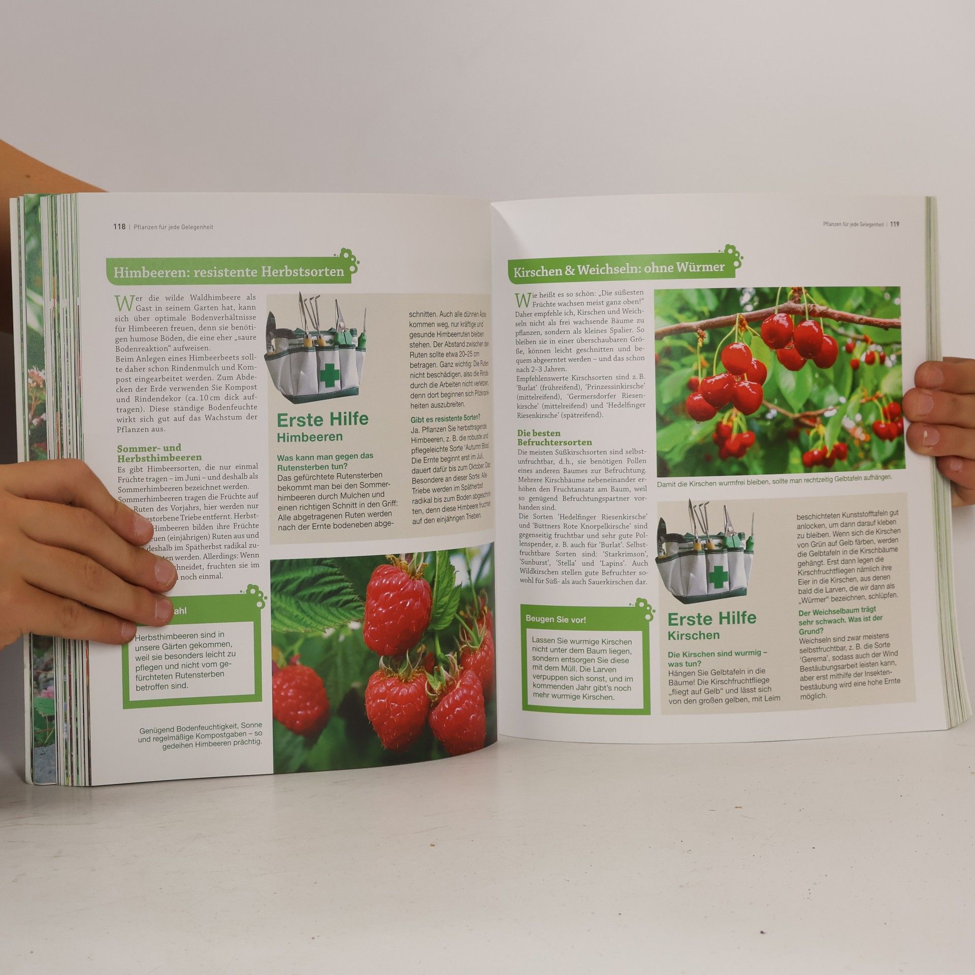 Karl Ploberger Best of der Garten für intelligente Faule
