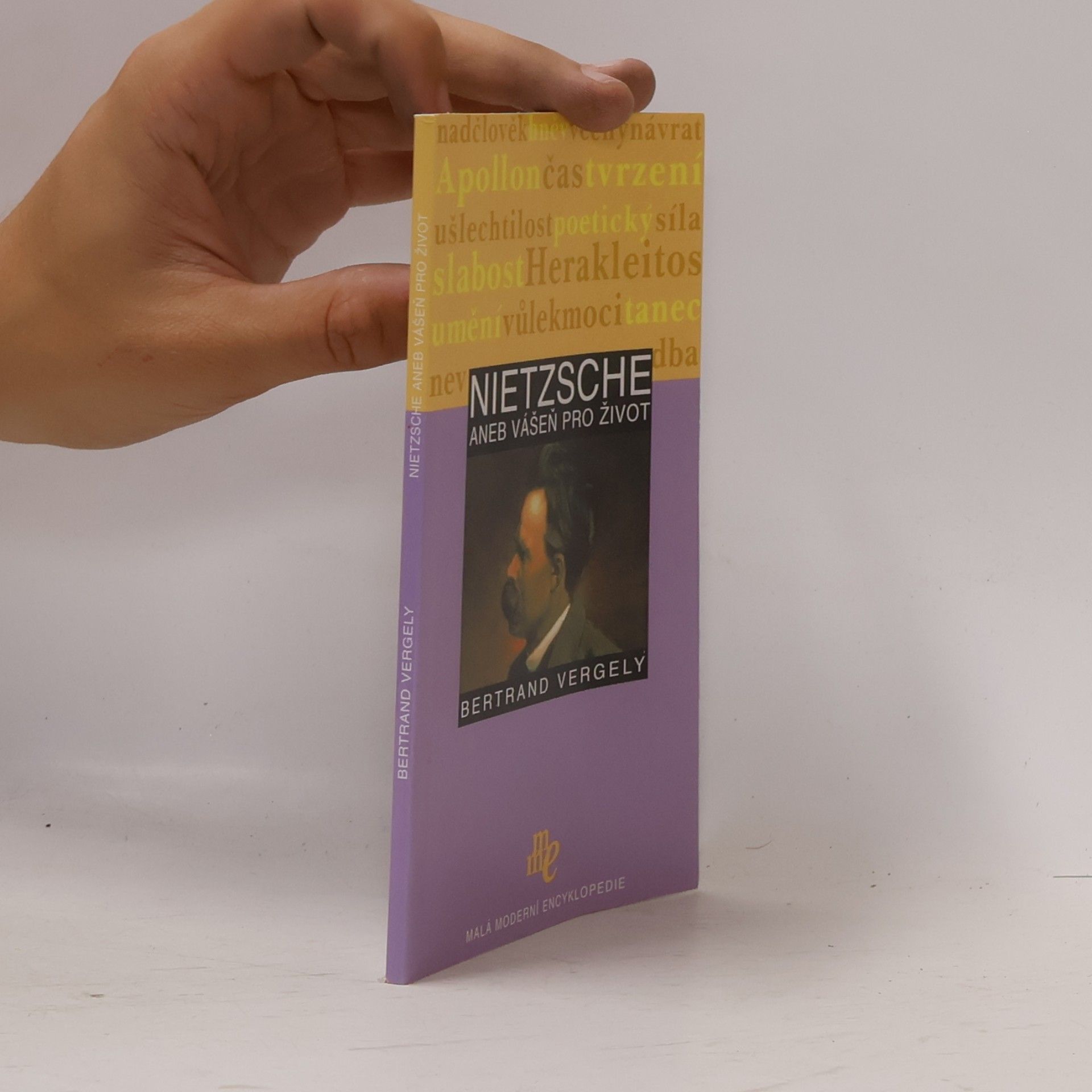 Bertrand Vergely Nietzsche aneb Vášeň pro život