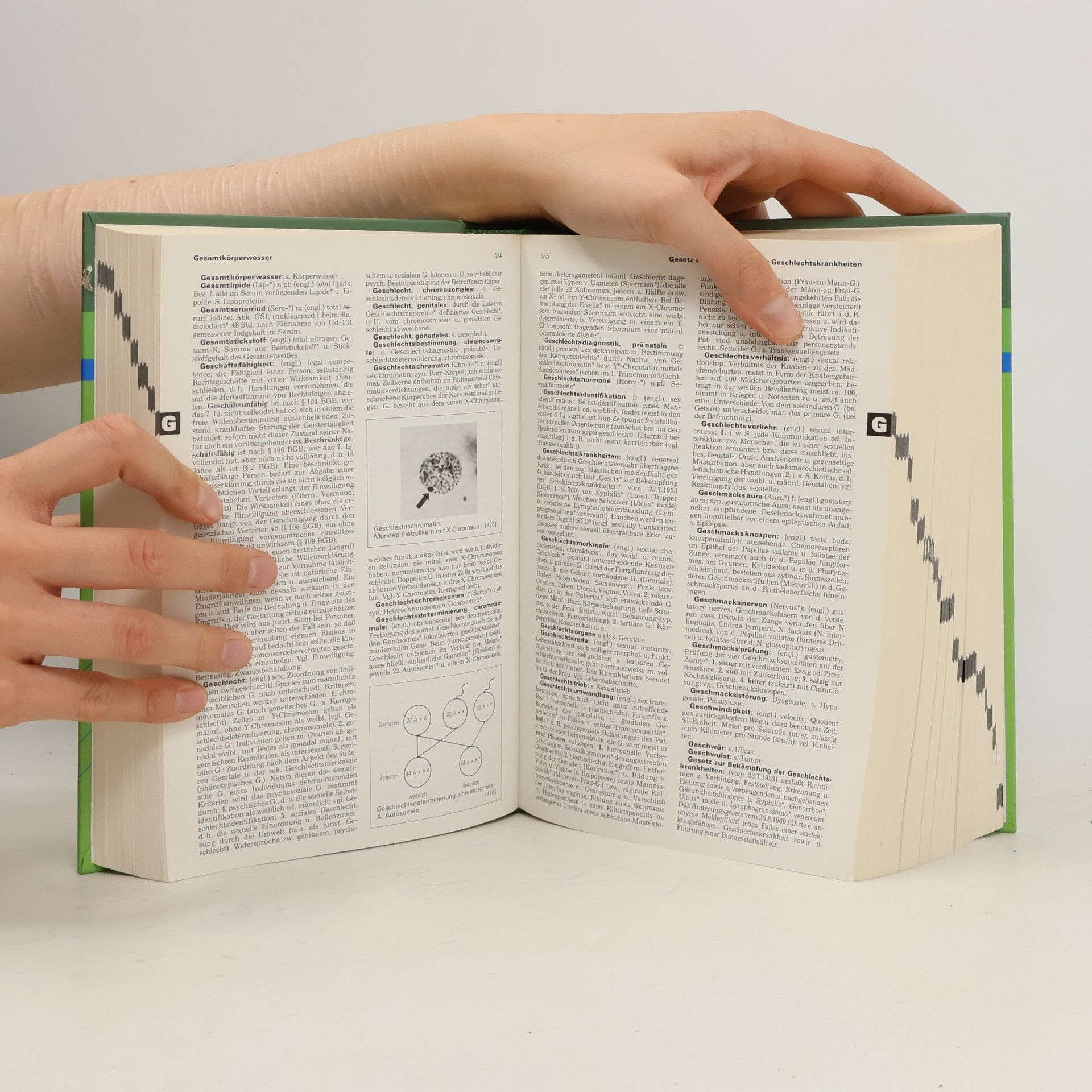Auteurscollectief Pschyrembel Klinisches Wörterbuch