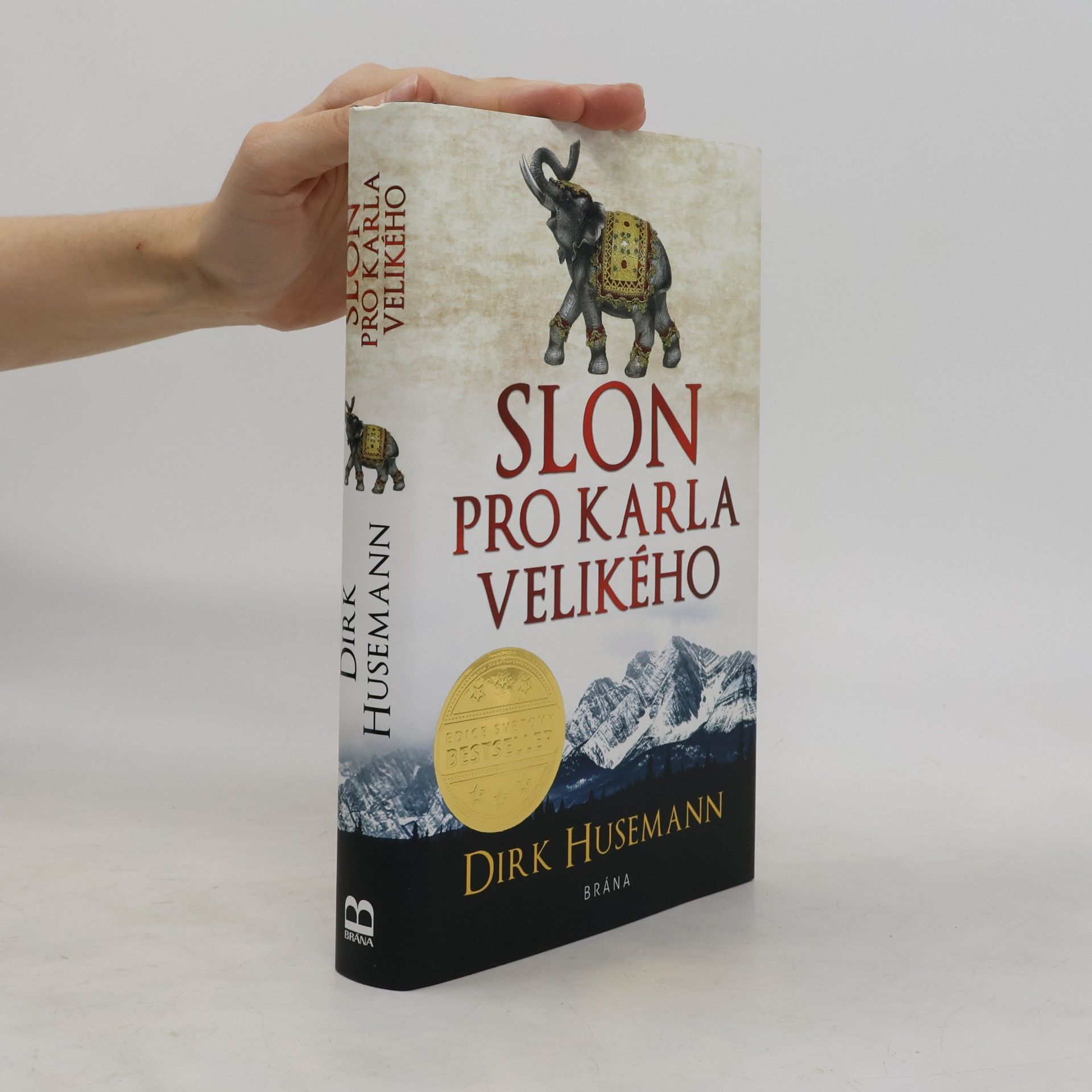 Dirk Husemann Slon pro Karla Velikého
