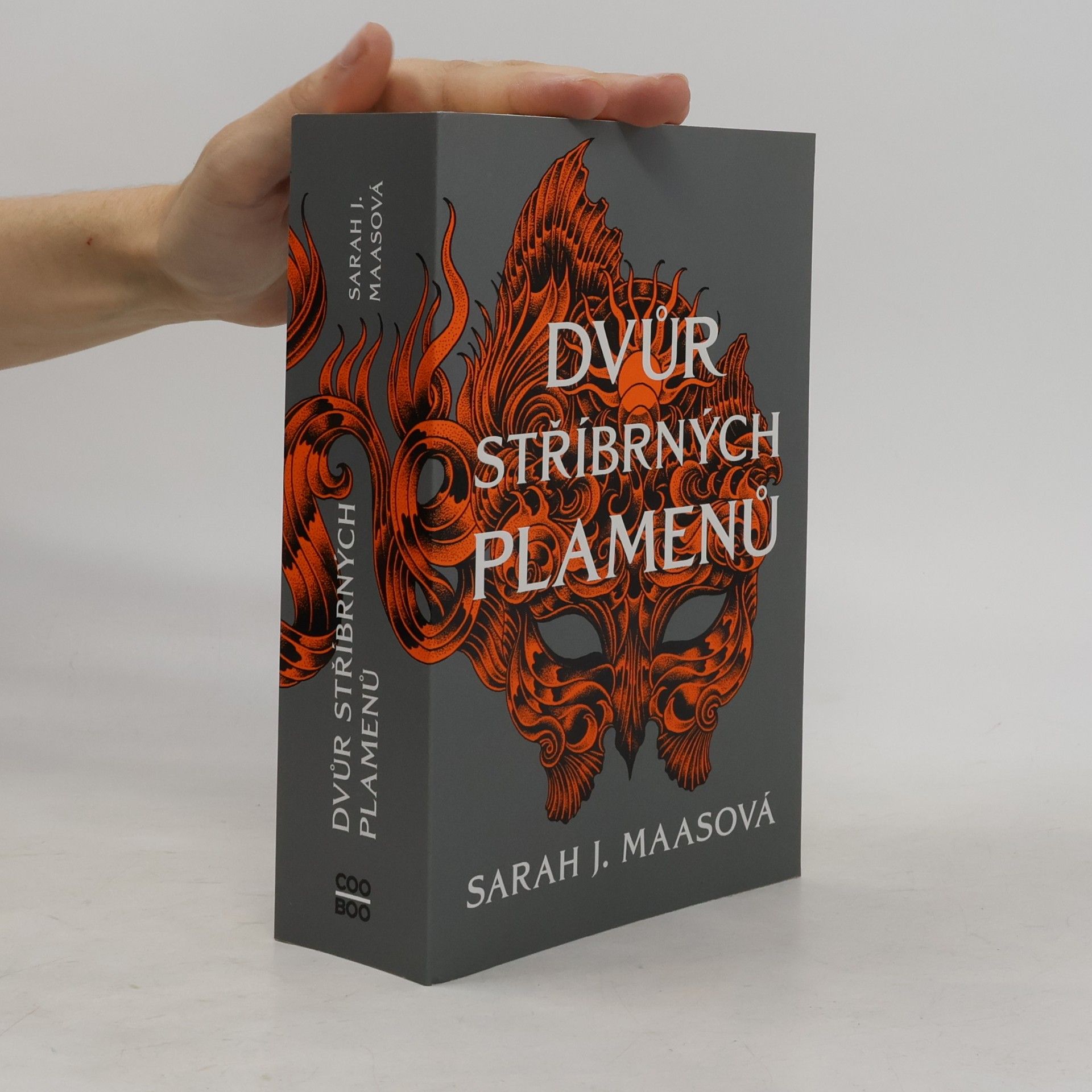 Sarah J. Maasová Dvůr stříbrných plamenů