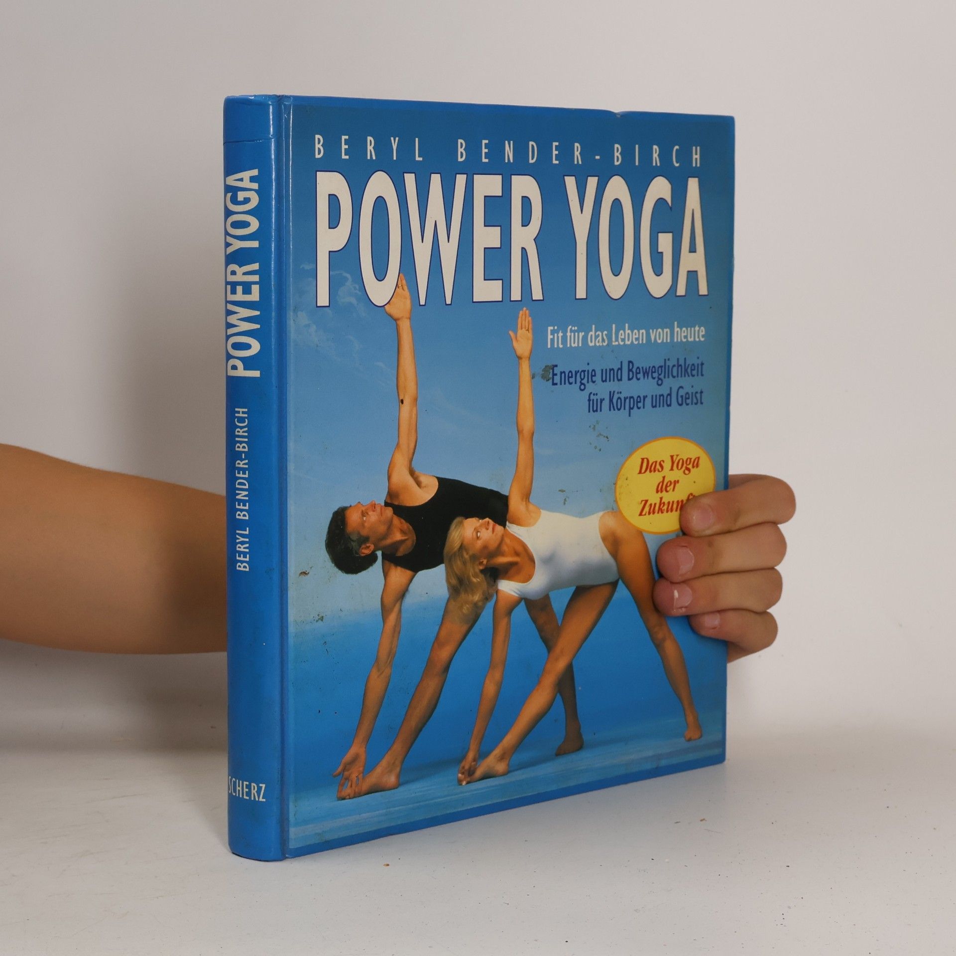 Beryl Bender Birch Power-Yoga