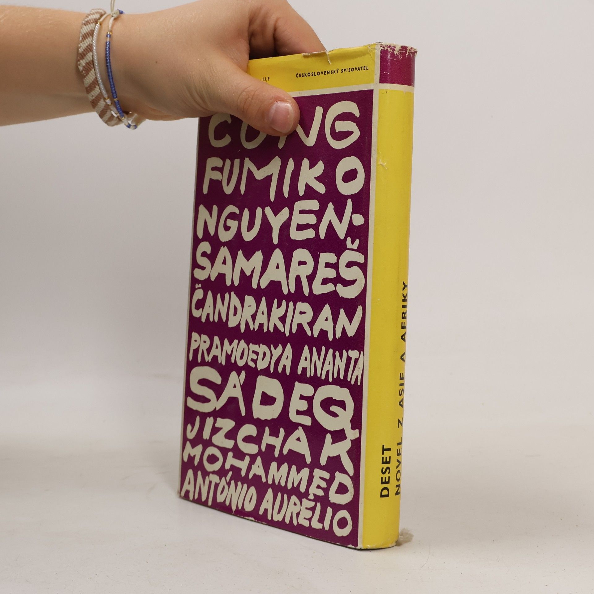 Autorenkollektiv Deset novel z Asie a Afriky