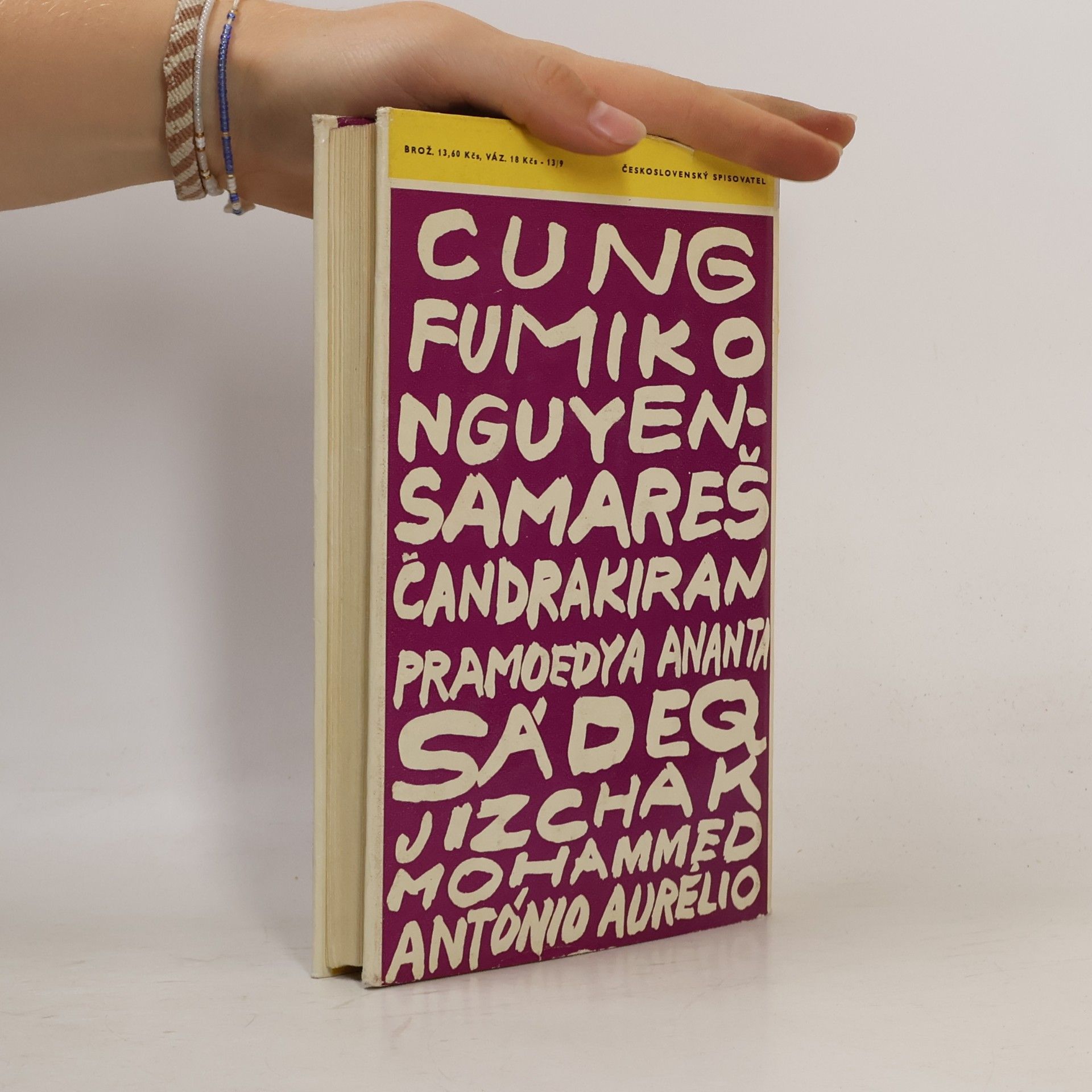 Autorenkollektiv Deset novel z Asie a Afriky
