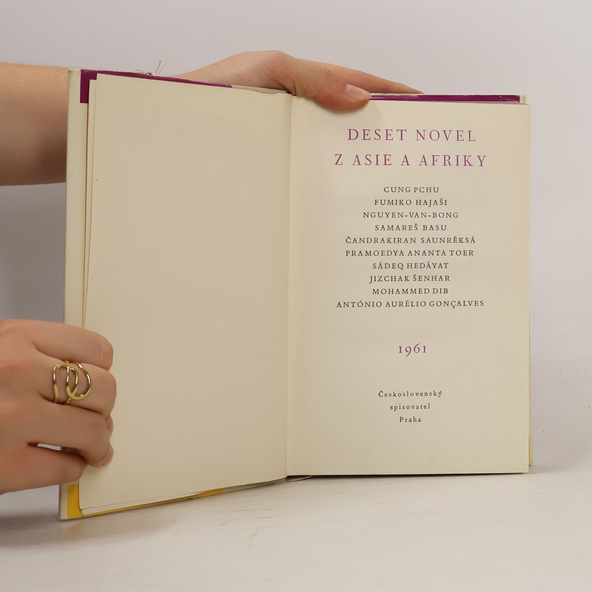 Autorenkollektiv Deset novel z Asie a Afriky