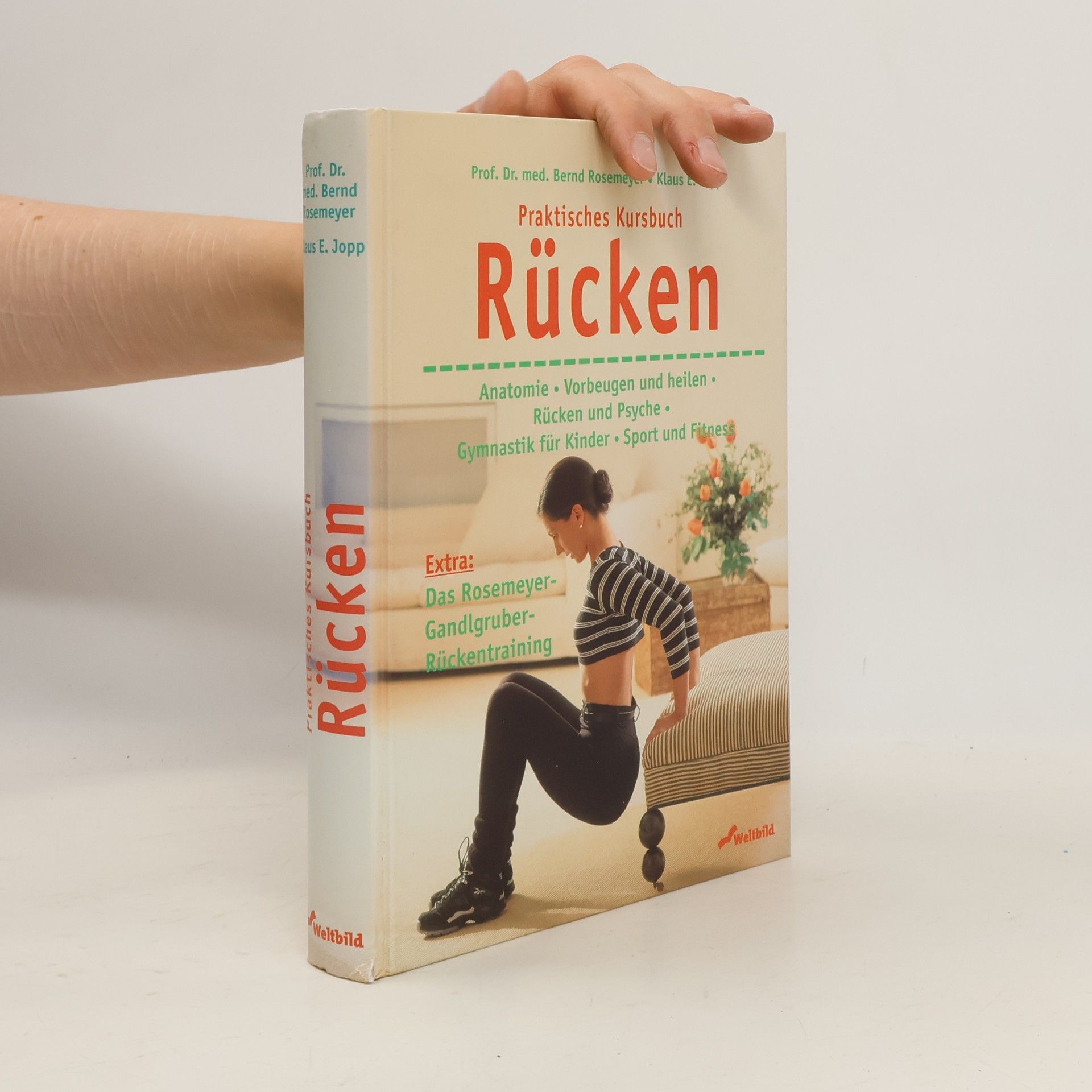 Bernd Rosemeyer Praktisches Kursbuch Rücken
