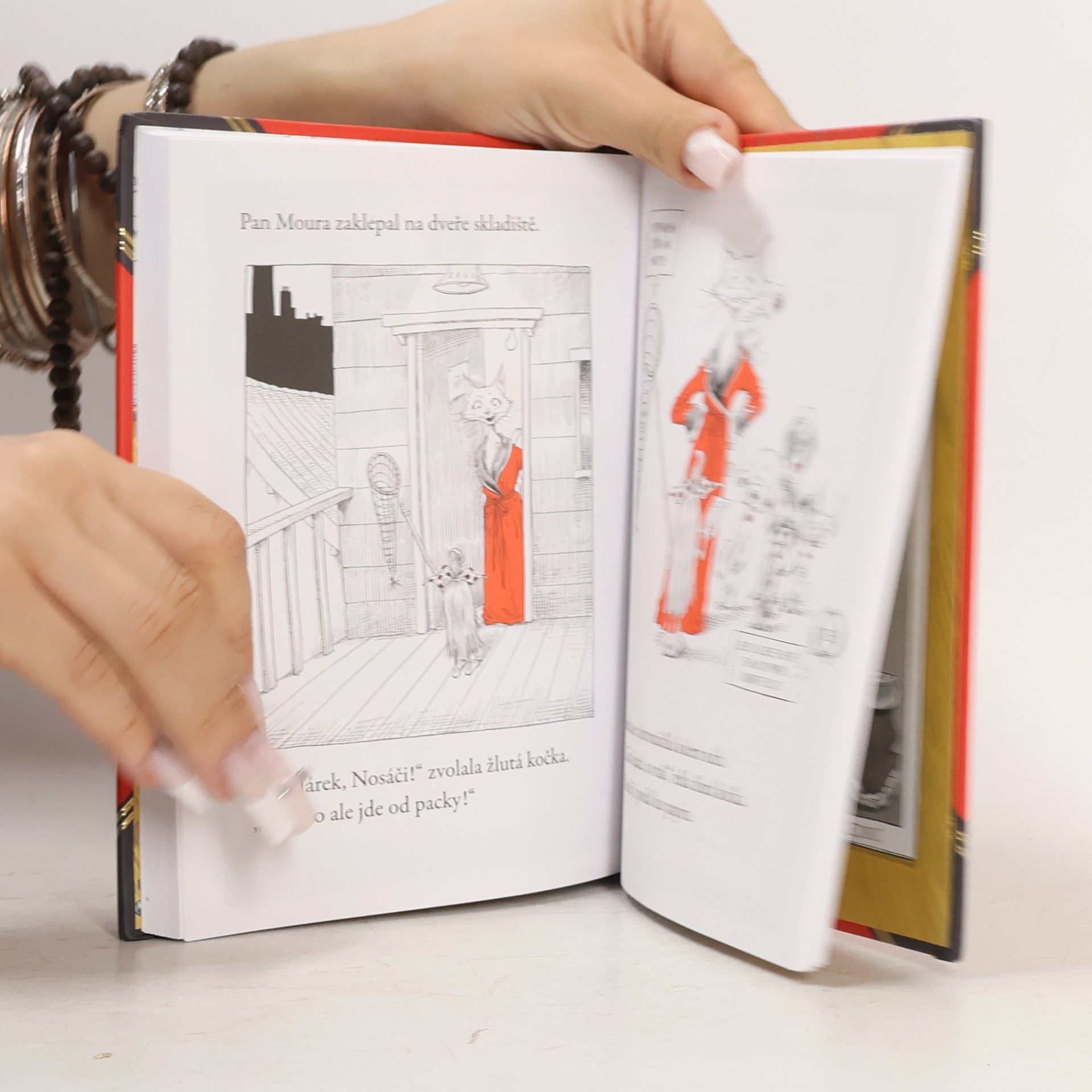 Chris Riddell Otolína a žlutá kočka