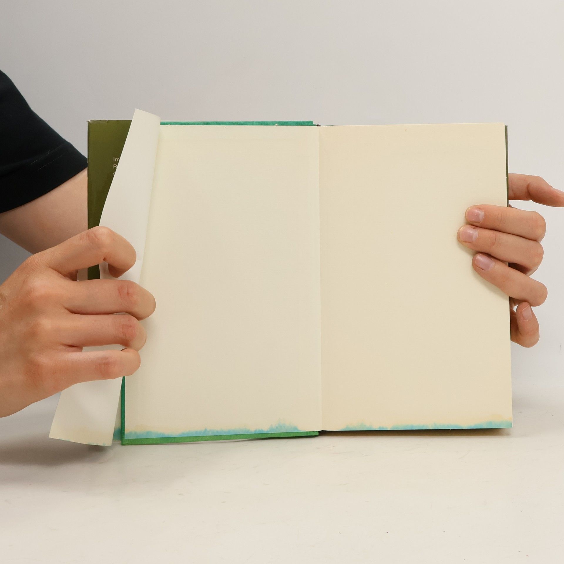 Gu nter Speicher Heilen mit Erfolg