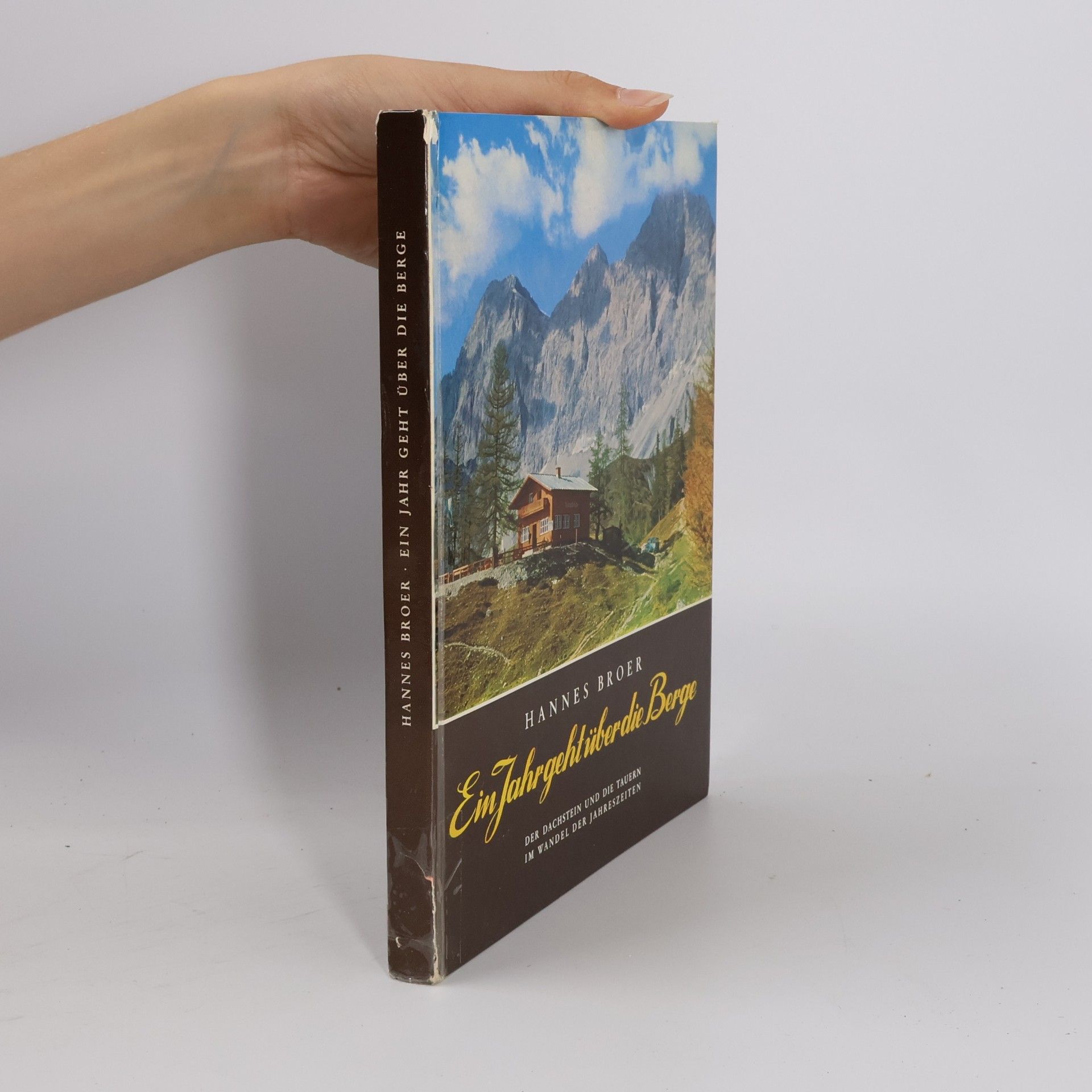 Hannes Broer Ein Jahr geht über die Berge