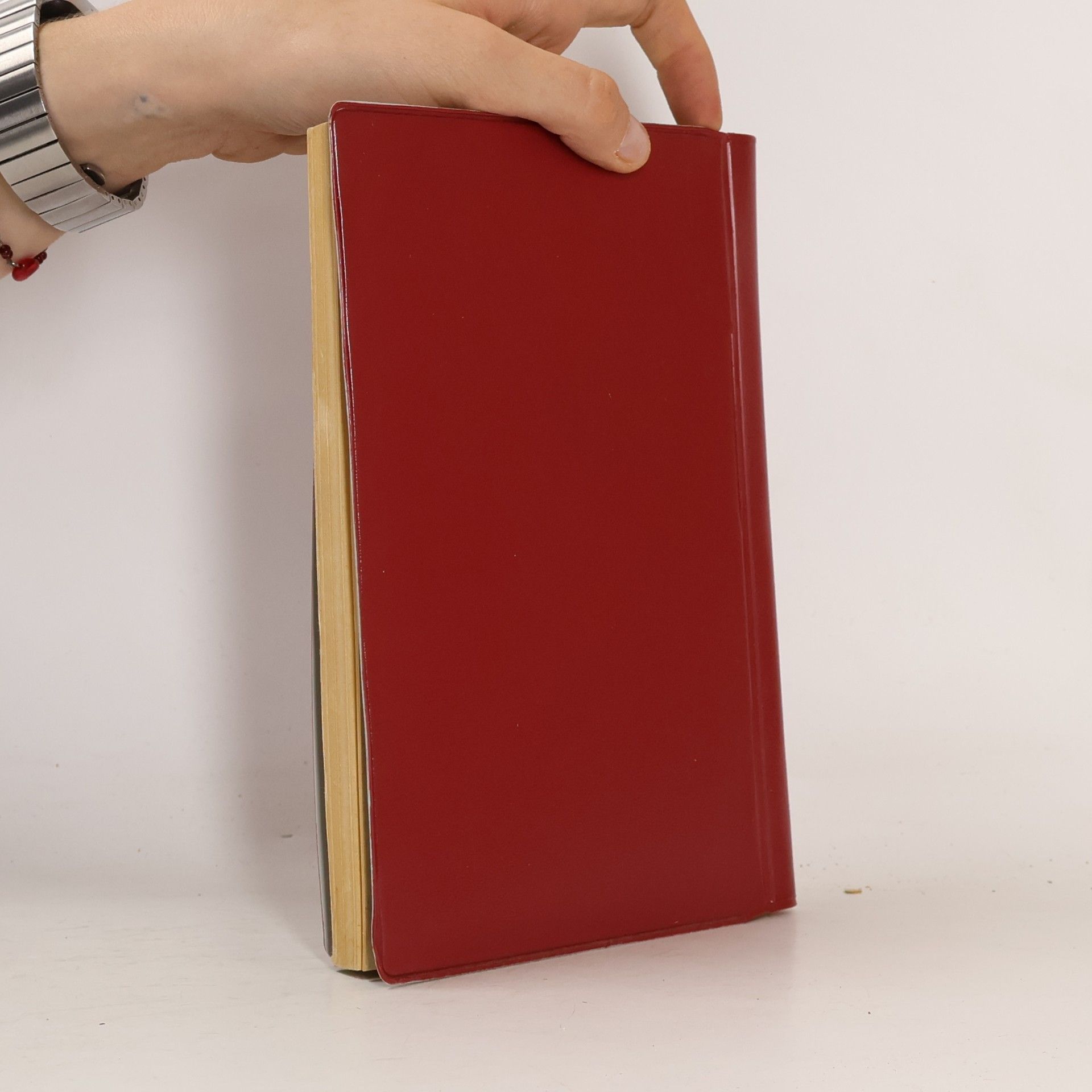 Autorenkollektiv Dopravní předpisy vleček II