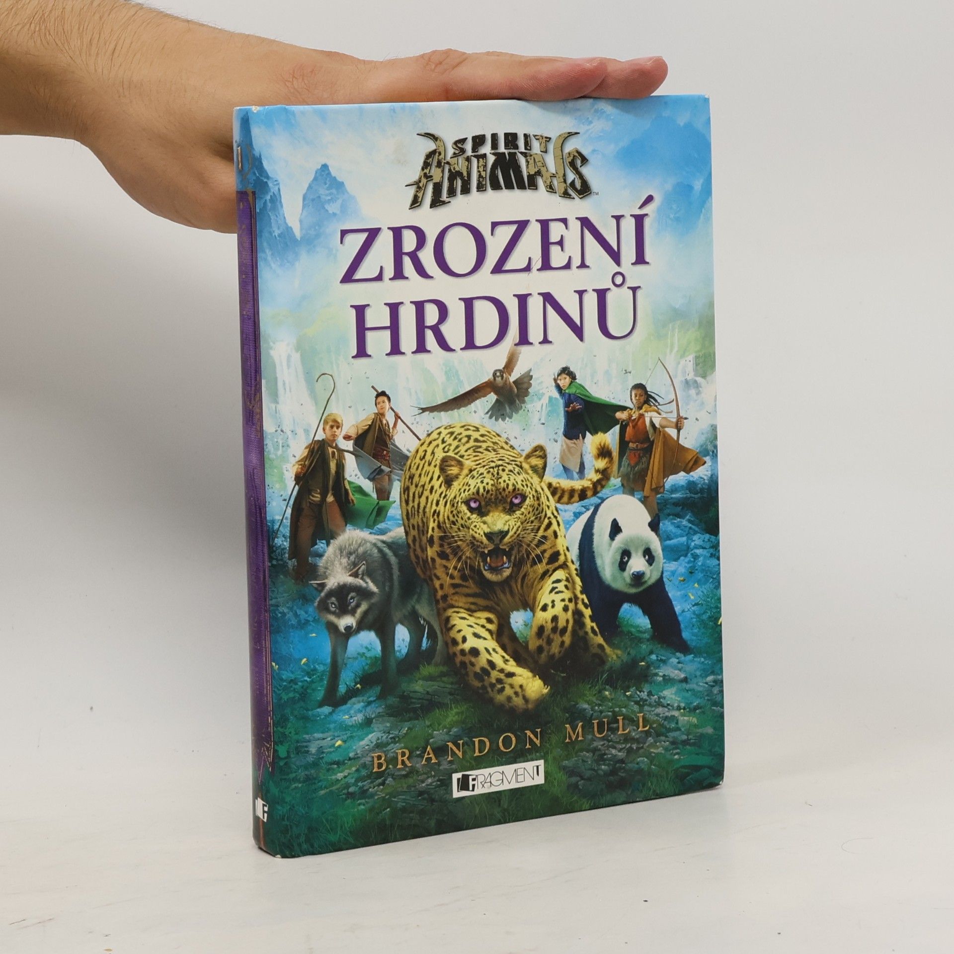Brandon Mull Zrození hrdinů