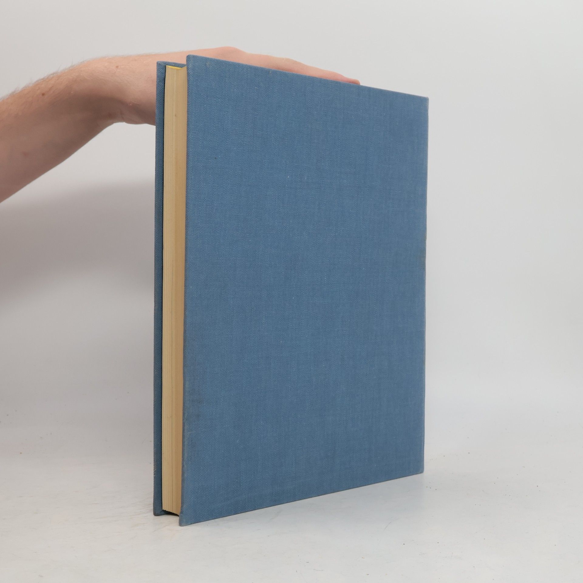 Autorenkollektiv Handbuch der Kunstwissenschaft