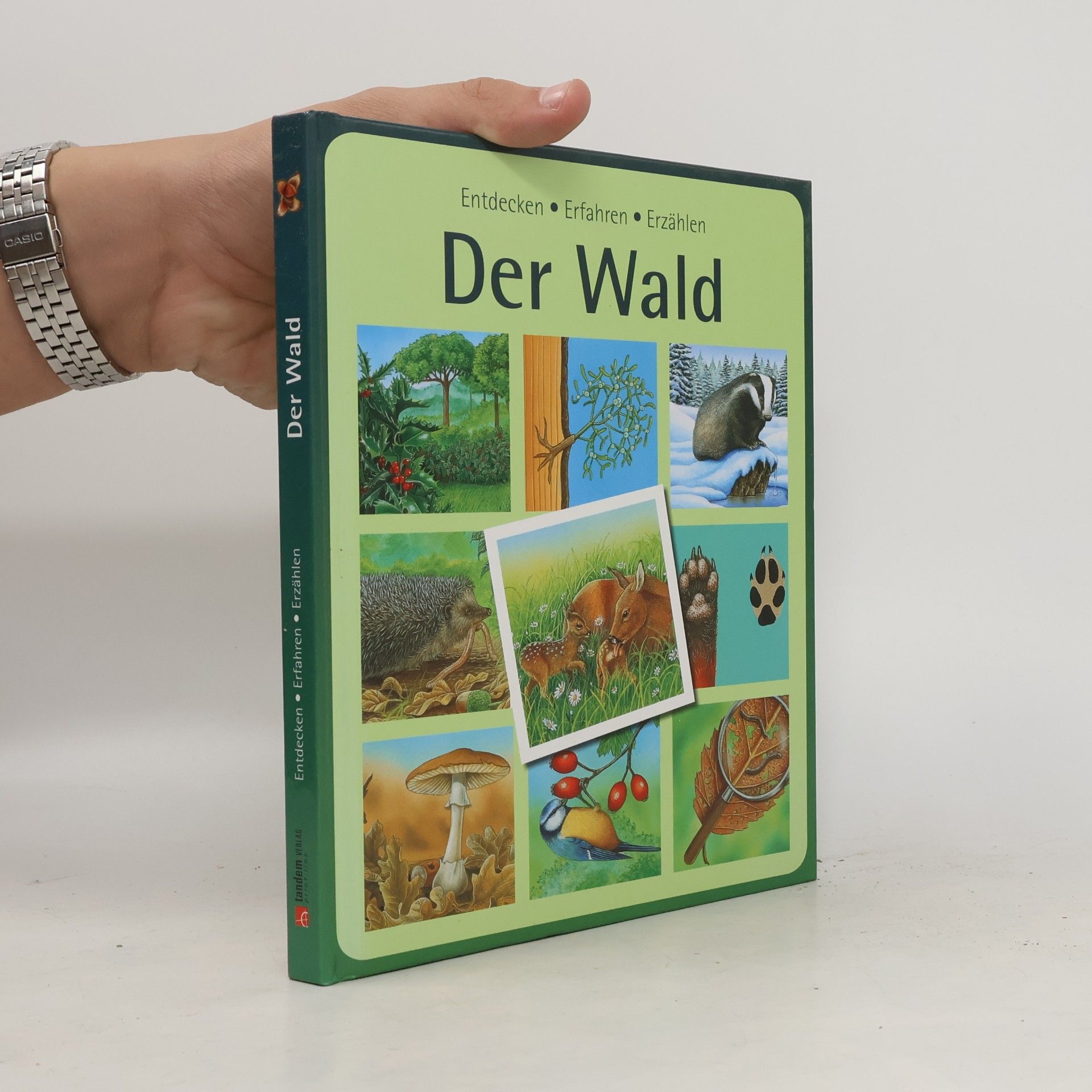 Autorenkollektiv Der Wald