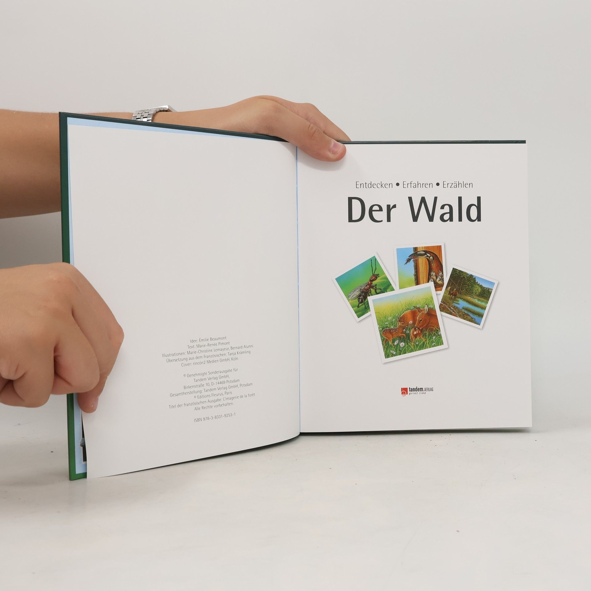 Auteurscollectief Der Wald