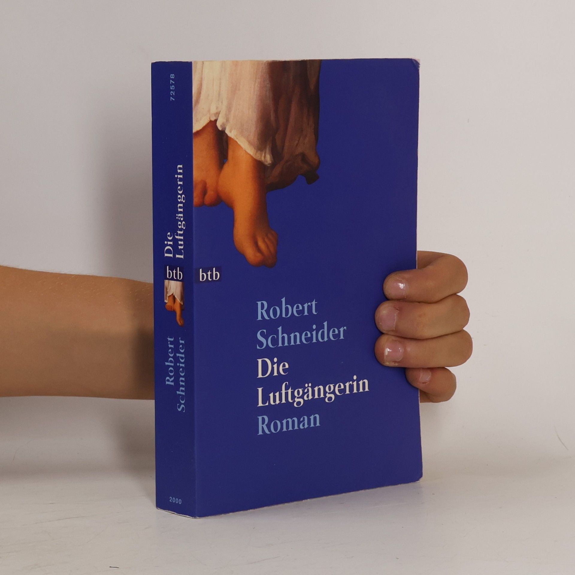 Robert Schneider Die Luftgängerin