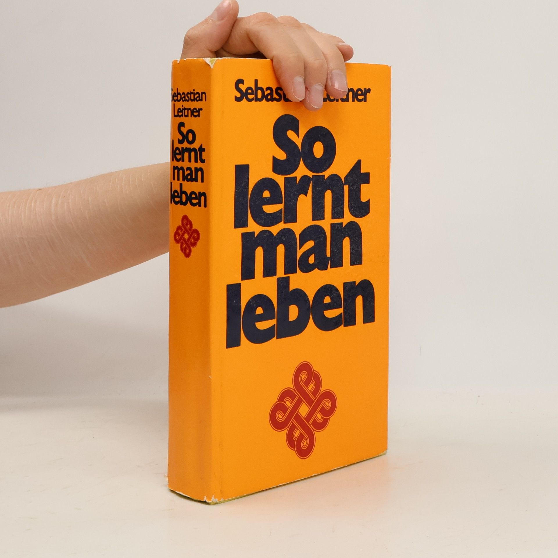 Sebastian Leitner So lernt man leben