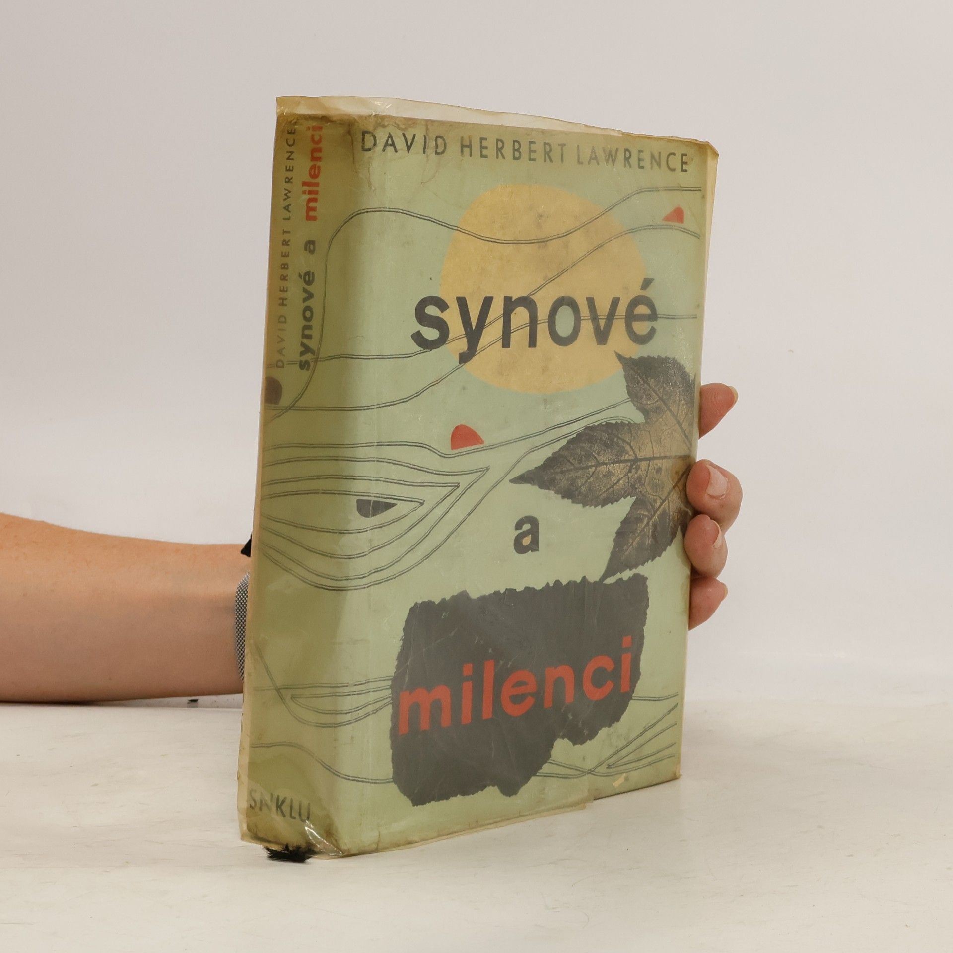 David Herbert Lawrence Synové a milenci