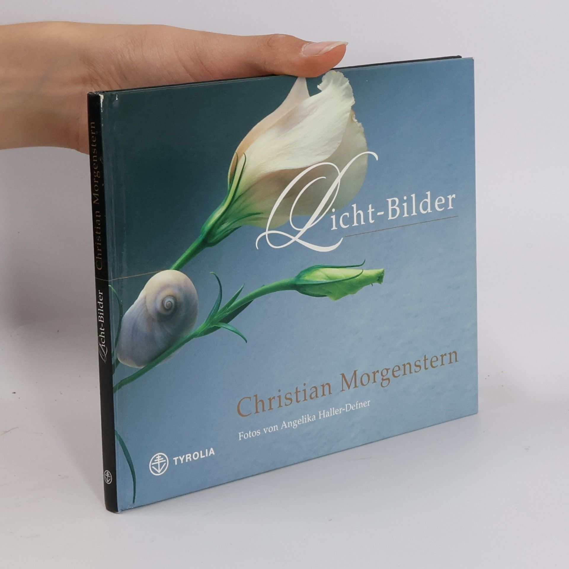 Angelika Haller-Defner Christian Morgenstern, Licht-Bilder