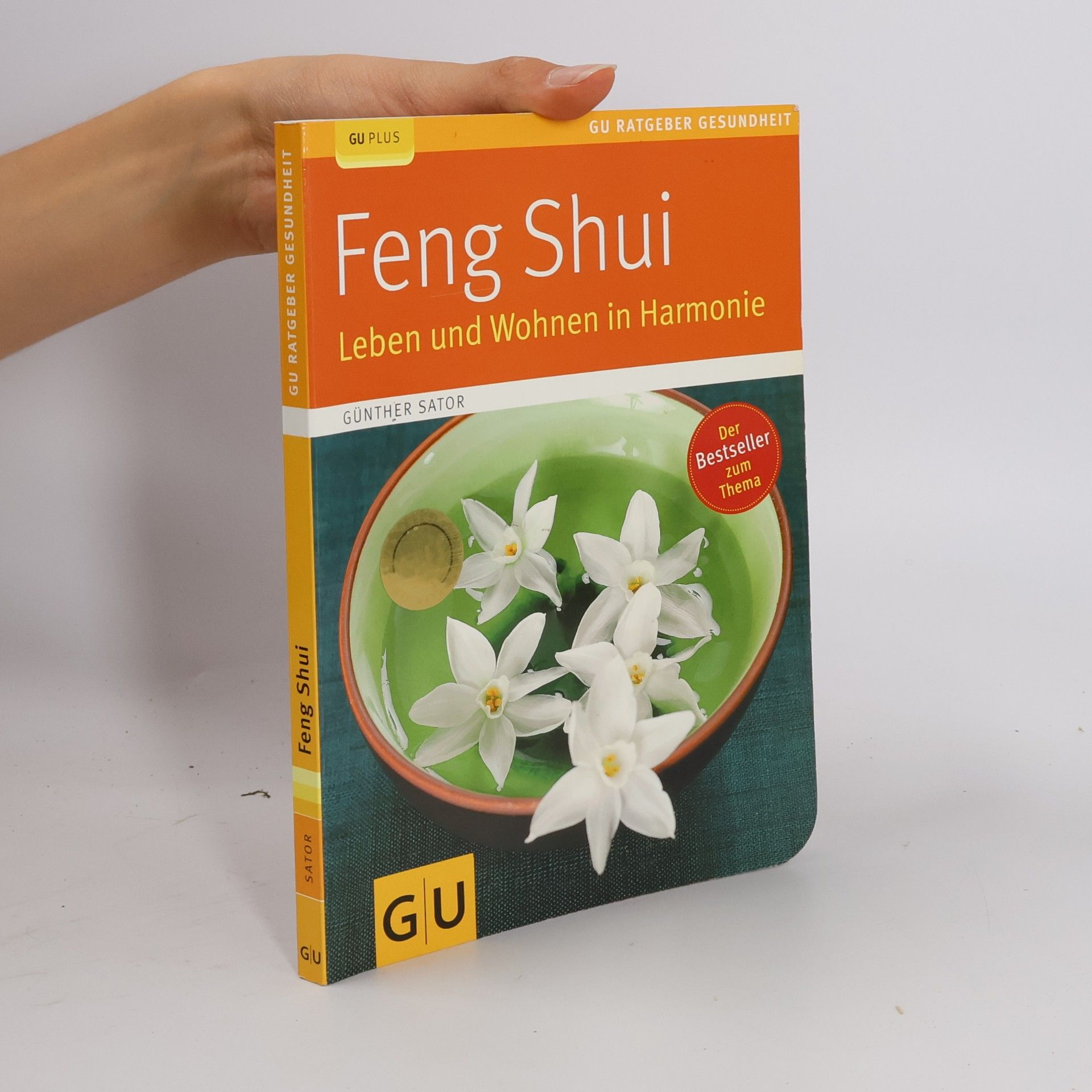 Günther Sator Feng-Shui
