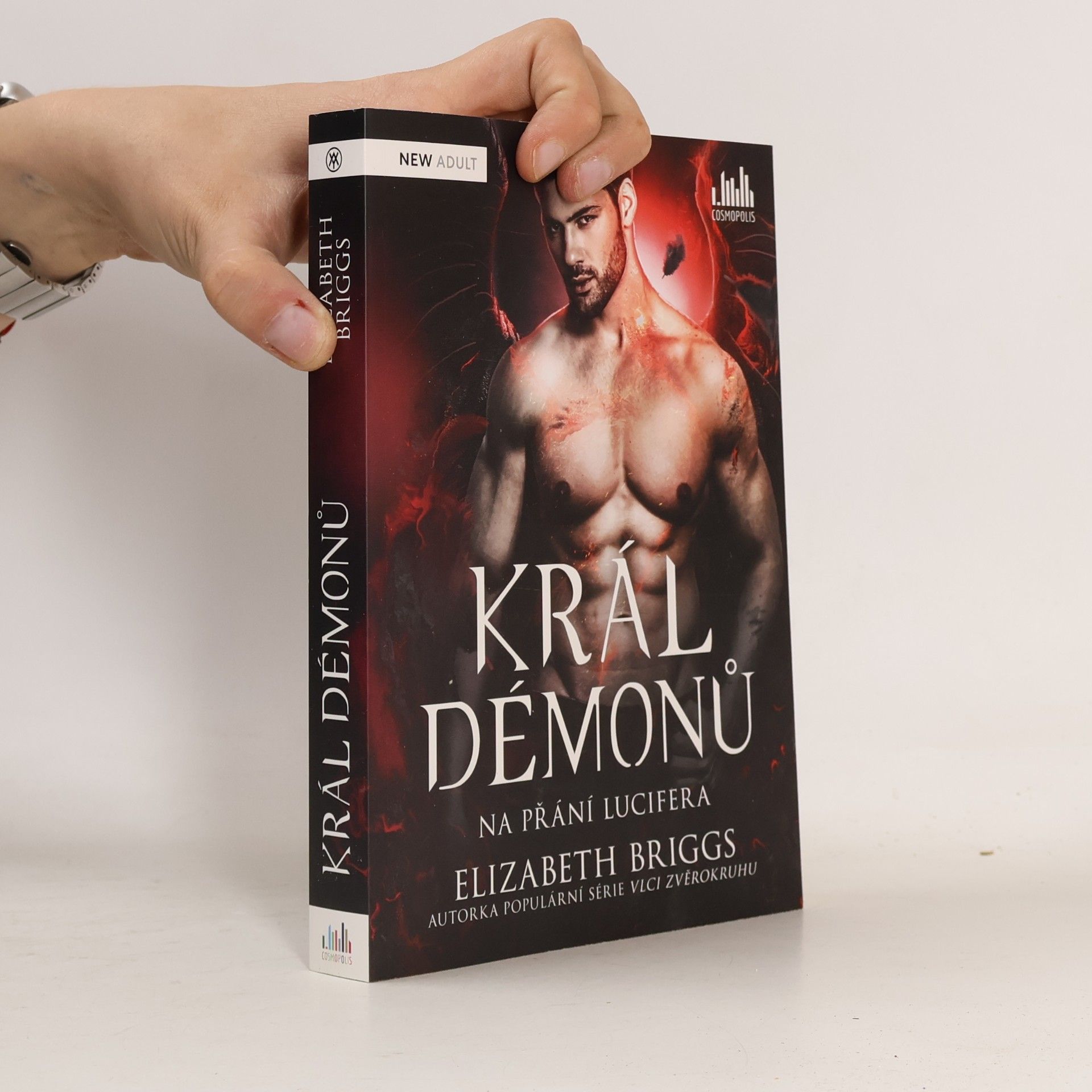 Elizabeth Briggs Na přání Lucifera. Král démonů