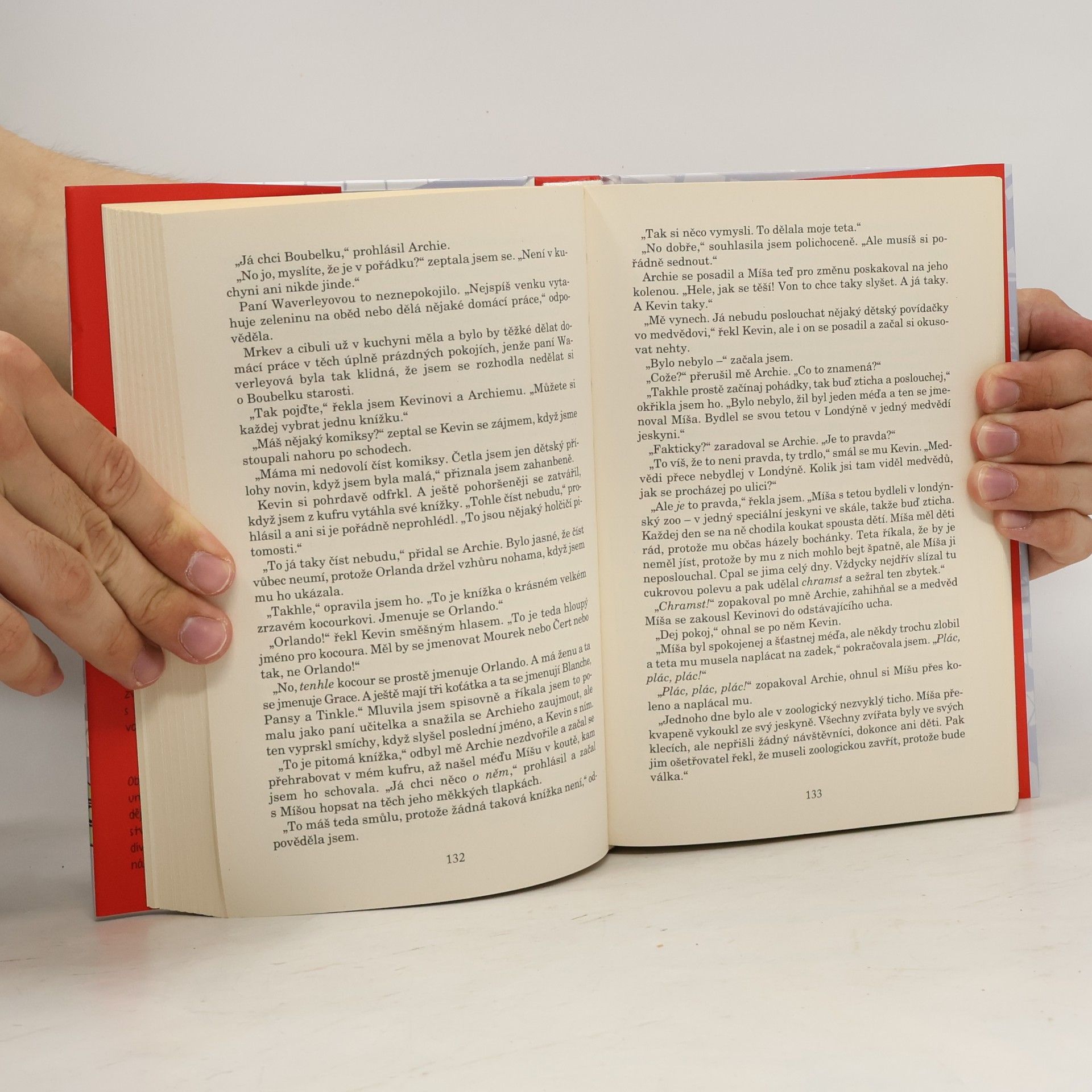 Jacqueline Wilson Nečekané prázdniny