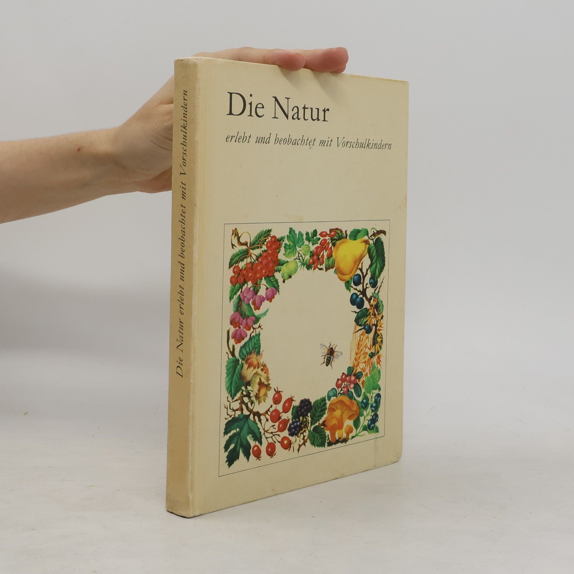 Marga Arndt Die Natur erlebt und beobachtet mit Vorschulkindern