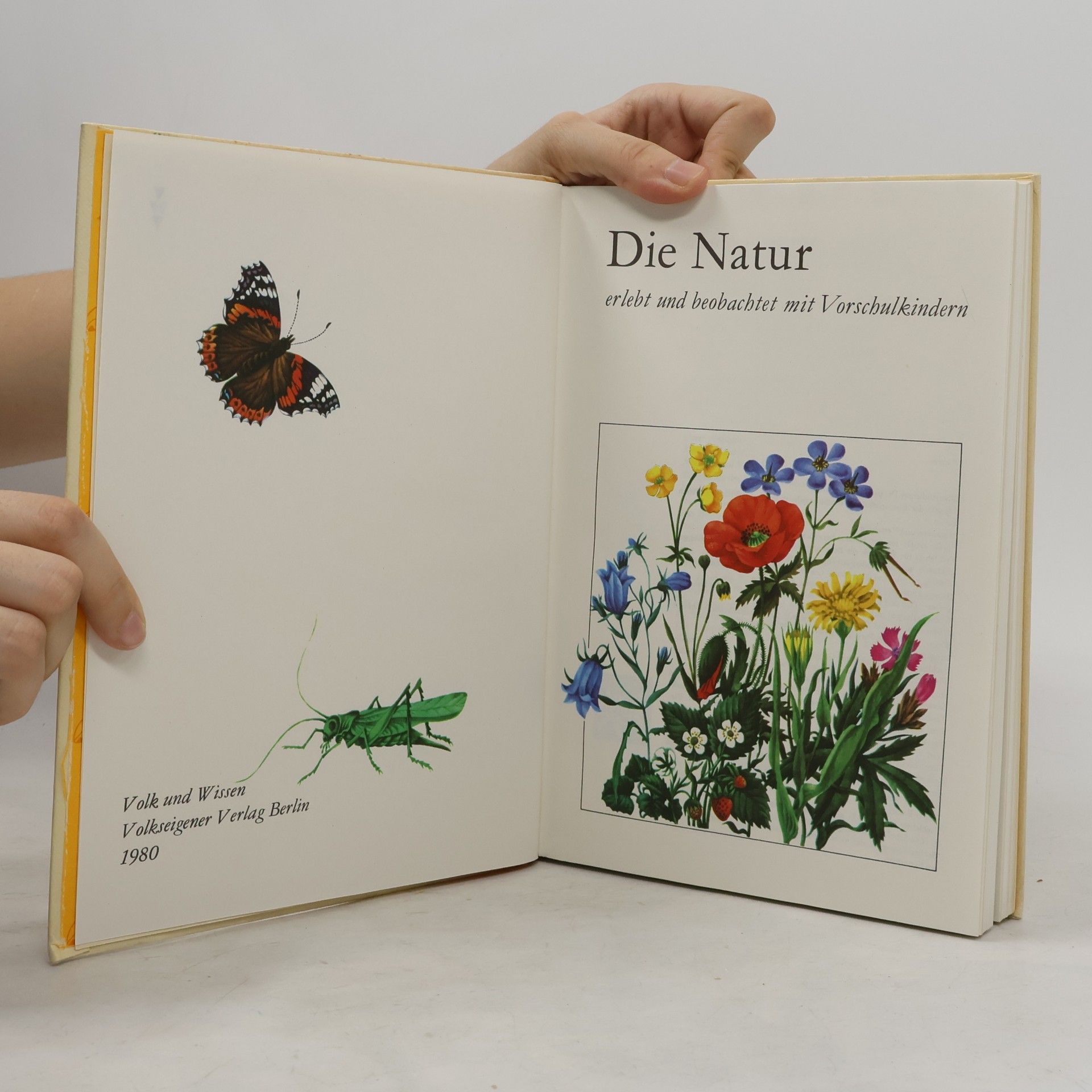 Marga Arndt Die Natur erlebt und beobachtet mit Vorschulkindern