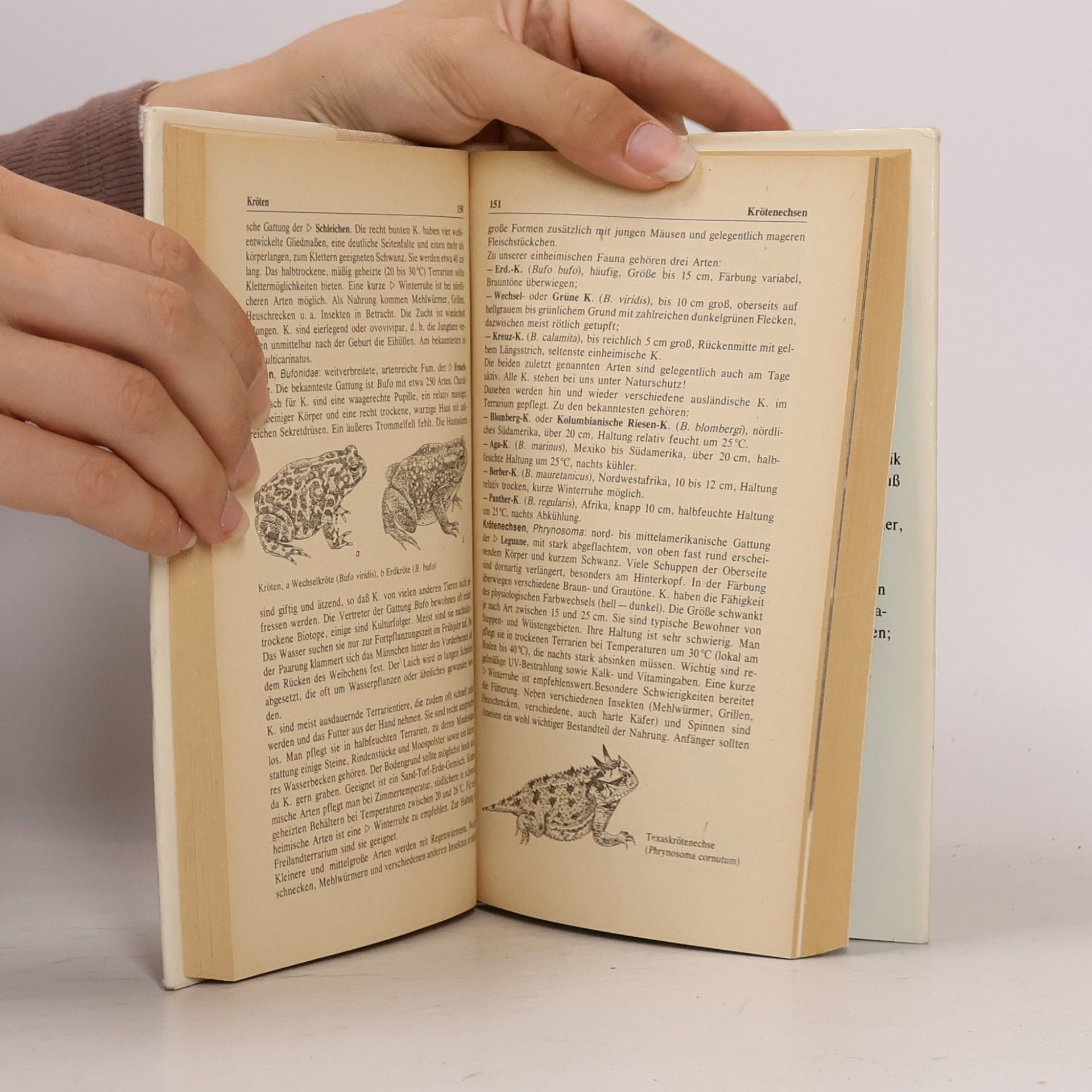 Autores varios Heimtiere
