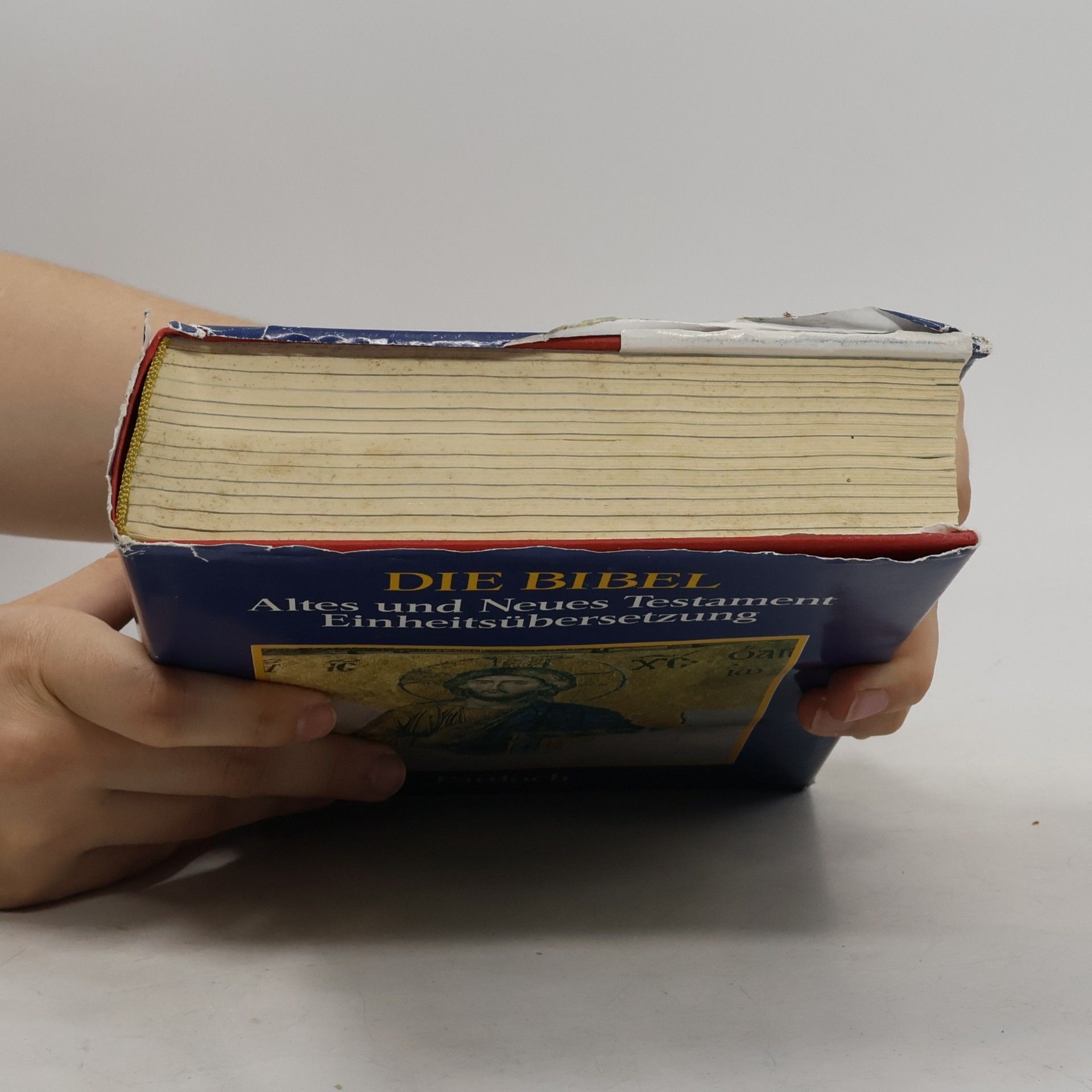Autorenkollektiv Die Bibel