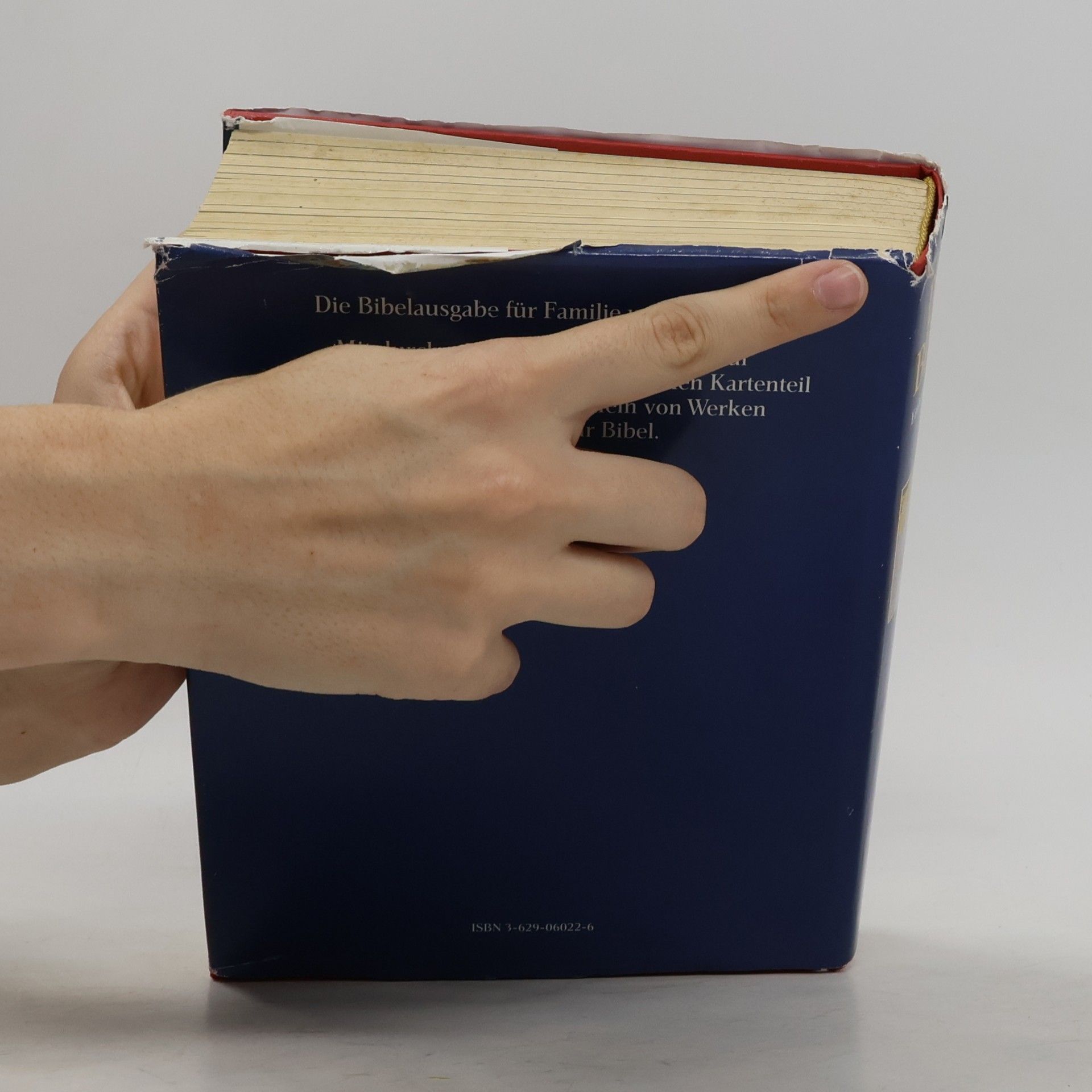 Autorenkollektiv Die Bibel