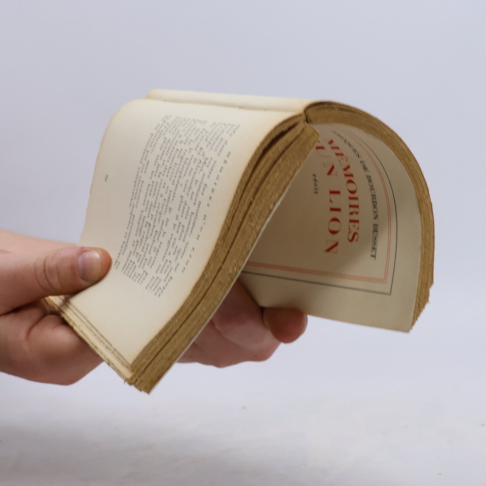 Jacques de Bourbon Busset Mémoires d'un lion